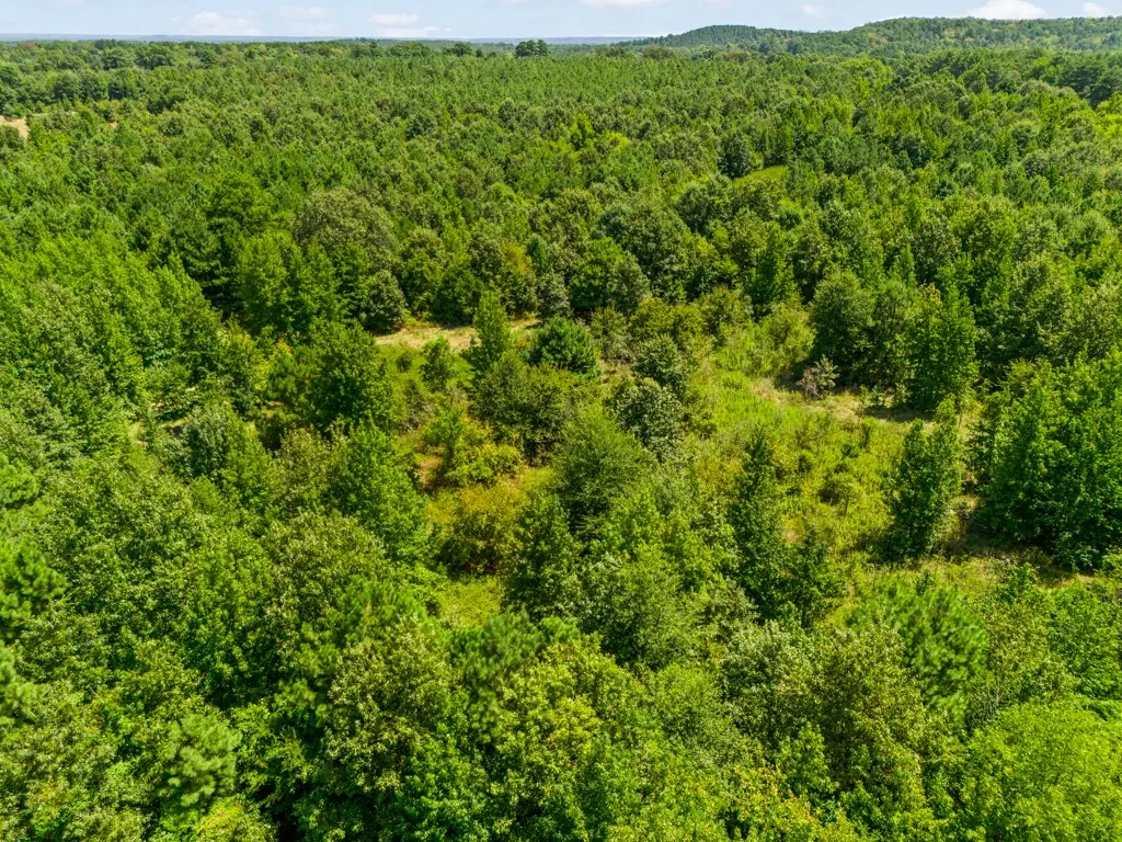 Expansive wooded terrain featuring varied tree canopy and natural clearings