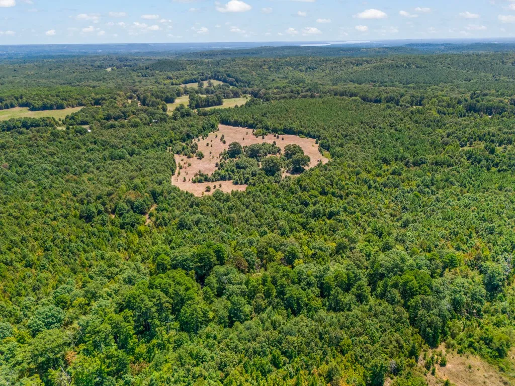 Expansive acreage featuring abundant mature tree coverage and open clearings