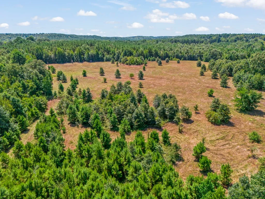 Expansive land parcel featuring a mix of cleared areas and mature trees, surrounded by dense woodlands