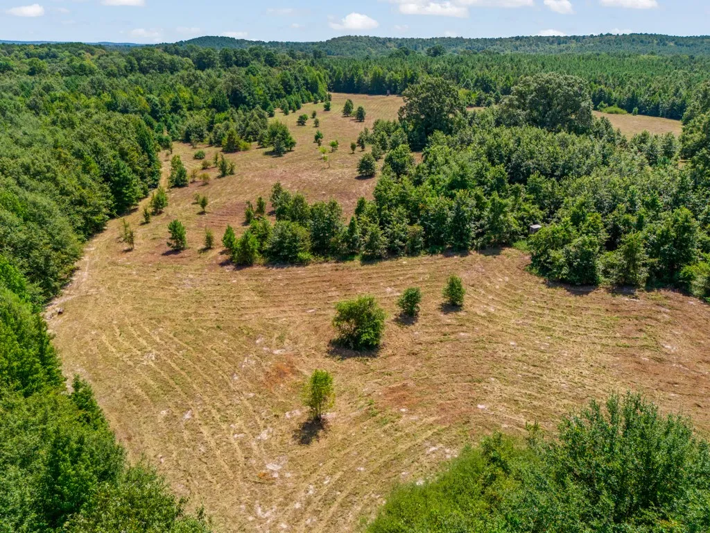 Expansive cleared acreage bordered by mature trees and natural topography