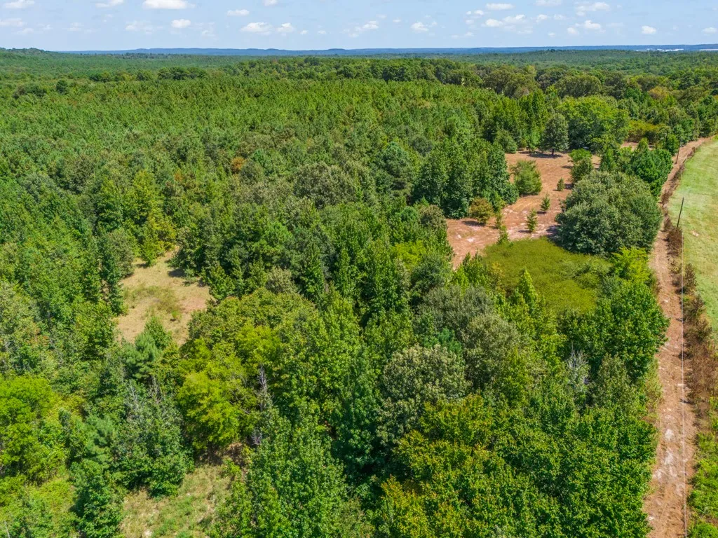 Expansive wooded land featuring mature trees and clearings