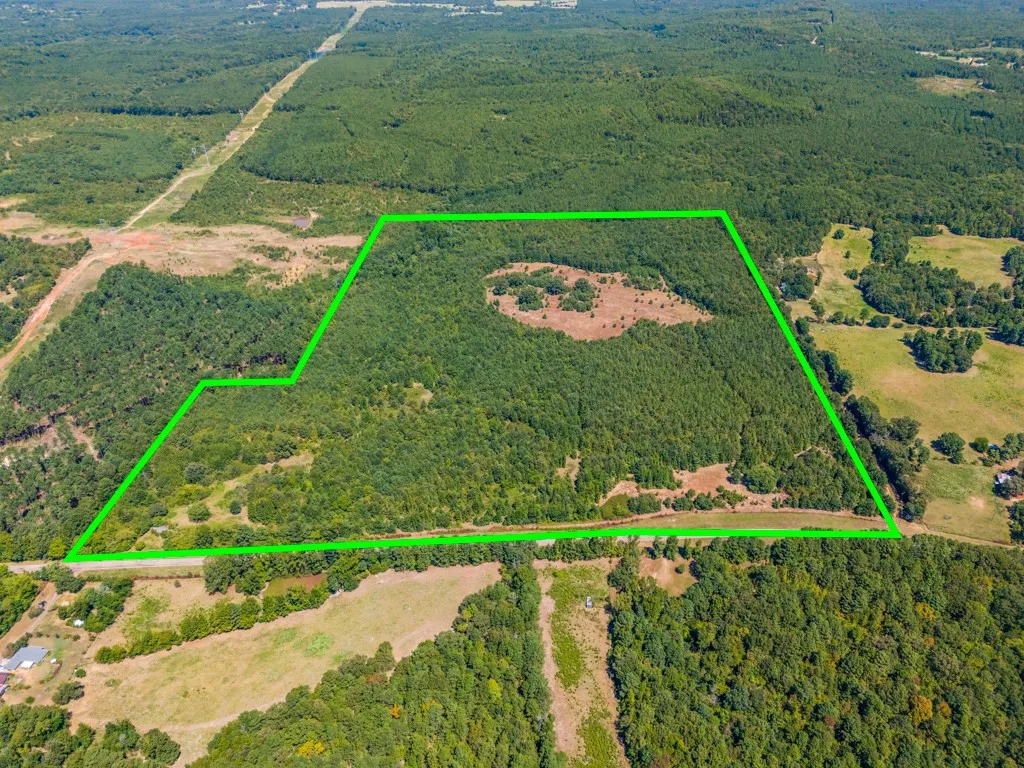 Expansive wooded acreage with a cleared path