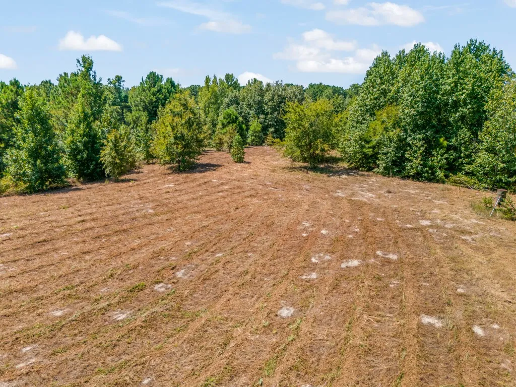 Ranch For Sale in Upshur County , 12843 FM 2796, Pittsburg, Texas 75686, 0, 0, Garage spaces, 0 Sqft, built in 0, Price $778,290, mls#21366360, Real Estate Agent in Pittsburg, Homes For Sale in Upshur county, Homes For Sale in Pittsburg, Realtor in Pittsburg Texas, Real Estate Brokerage Independent Realty Texas, Luminita Cordes Realtor