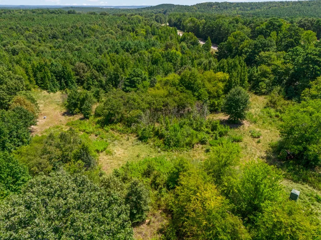Expansive treed landscape featuring varied foliage and cleared areas, with a visible road in the distance
