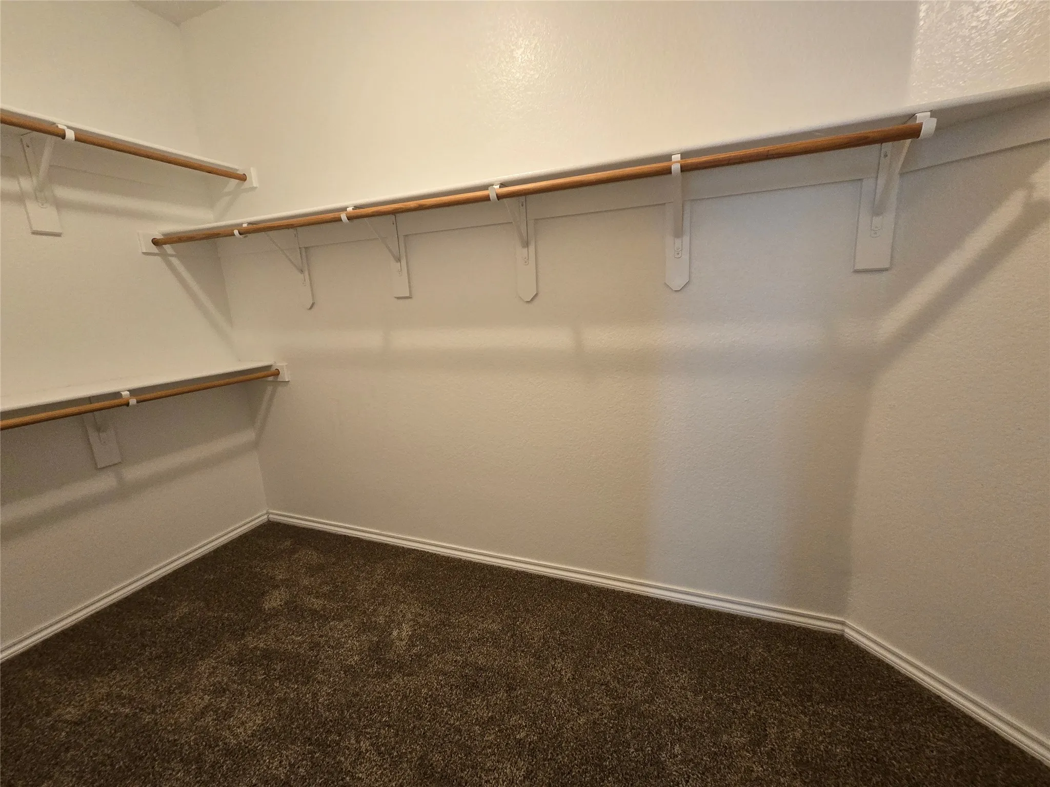 Spacious closet featuring dark carpet