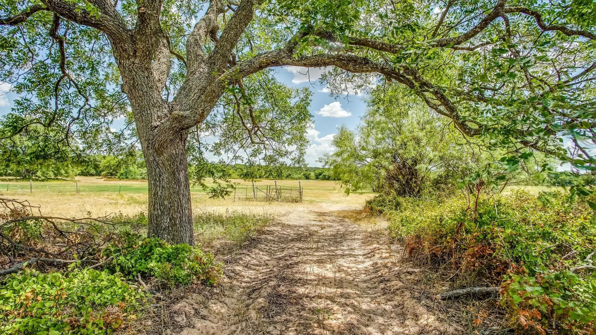 Farm For Sale in Erath County , 2446 Fm 205, Stephenville, Texas 76401, 3 Bedroom, 2 Bathroom, Garage spaces, 1,860 Sqft, built in 1972, Price $999,000, mls#21365034, Real Estate Agent in Stephenville, Homes For Sale in Erath county, Homes For Sale in Stephenville, Realtor in Stephenville Texas, Real Estate Brokerage Independent Realty Texas, Luminita Cordes Realtor