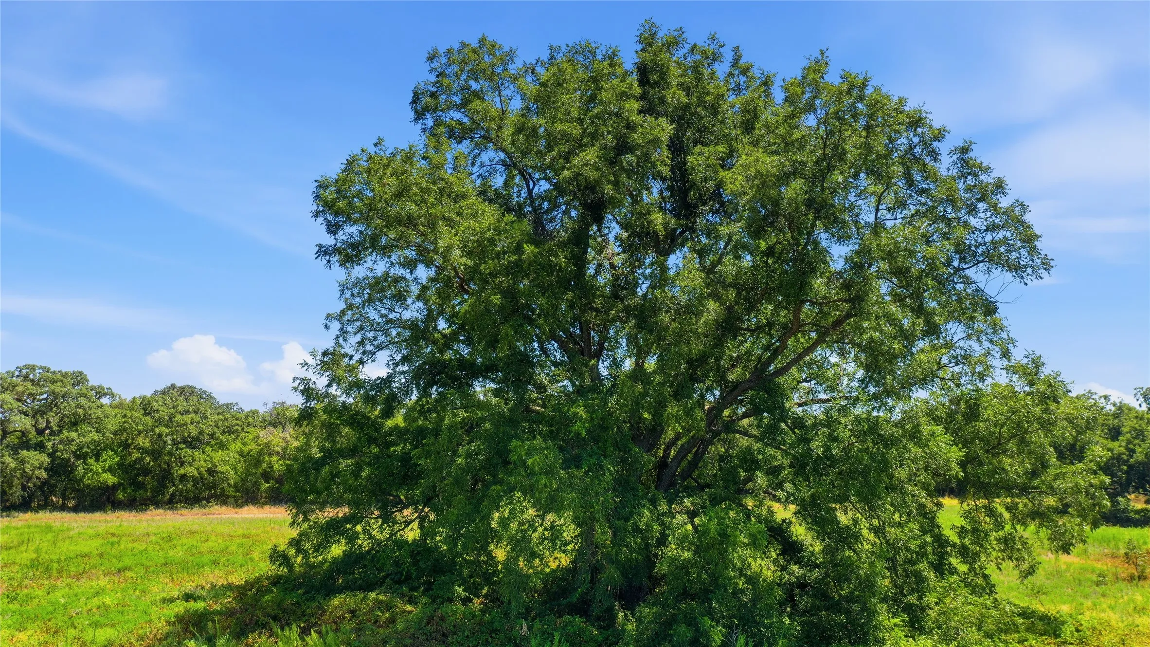 Farm For Sale in Erath County , 2446 Fm 205, Stephenville, Texas 76401, 3 Bedroom, 2 Bathroom, Garage spaces, 1,860 Sqft, built in 1972, Price $999,000, mls#21365034, Real Estate Agent in Stephenville, Homes For Sale in Erath county, Homes For Sale in Stephenville, Realtor in Stephenville Texas, Real Estate Brokerage Independent Realty Texas, Luminita Cordes Realtor