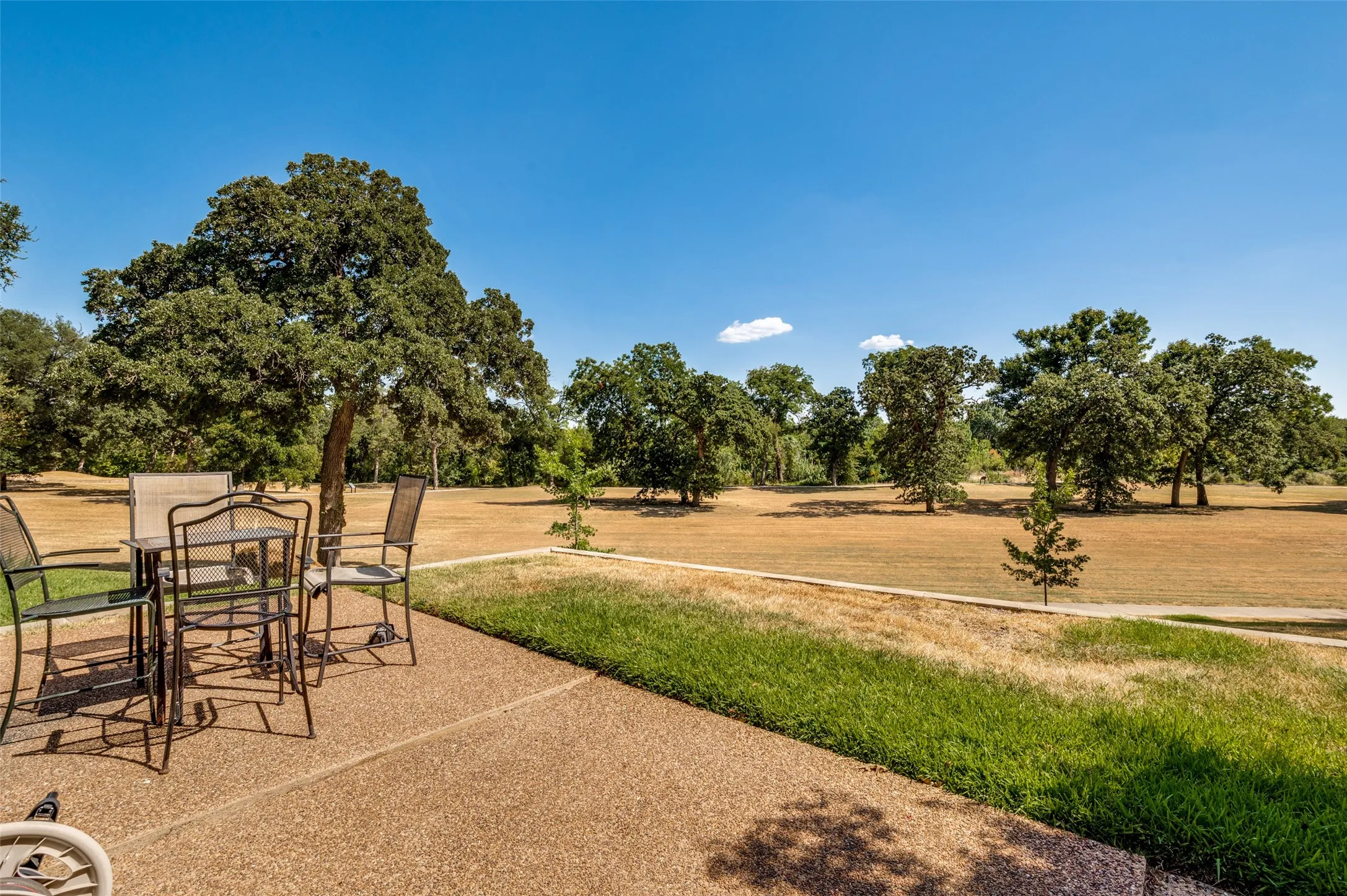 Back patio