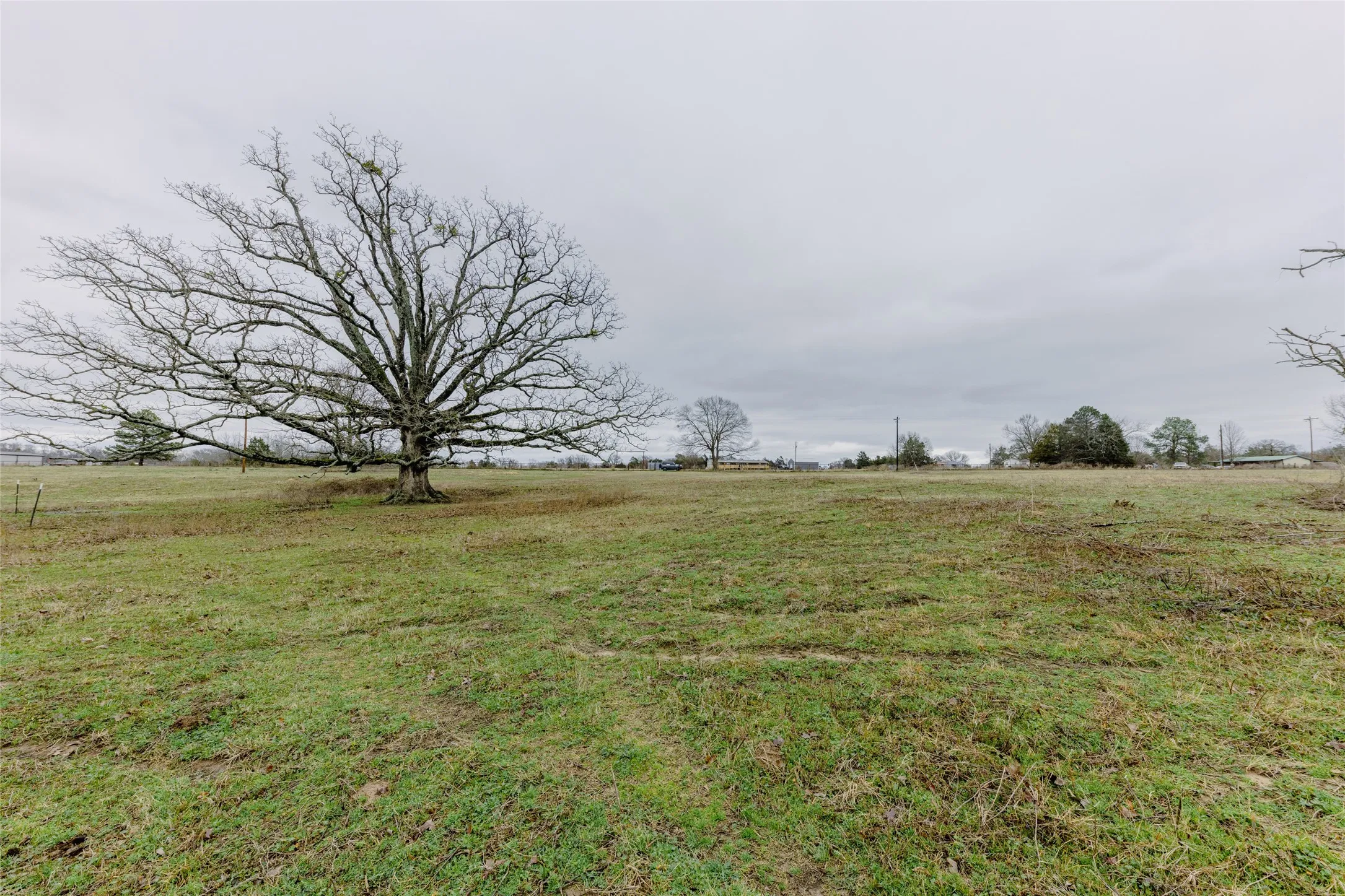 Improved Land For Sale in Wood County , tbd County Road 4930, Quitman, Texas 75783, 0, 0, Garage spaces, 0 Sqft, built in 0, Price $179,000, mls#21366383, Real Estate Agent in Quitman, Homes For Sale in Wood county, Homes For Sale in Quitman, Realtor in Quitman Texas, Real Estate Brokerage Independent Realty Texas, Luminita Cordes Realtor