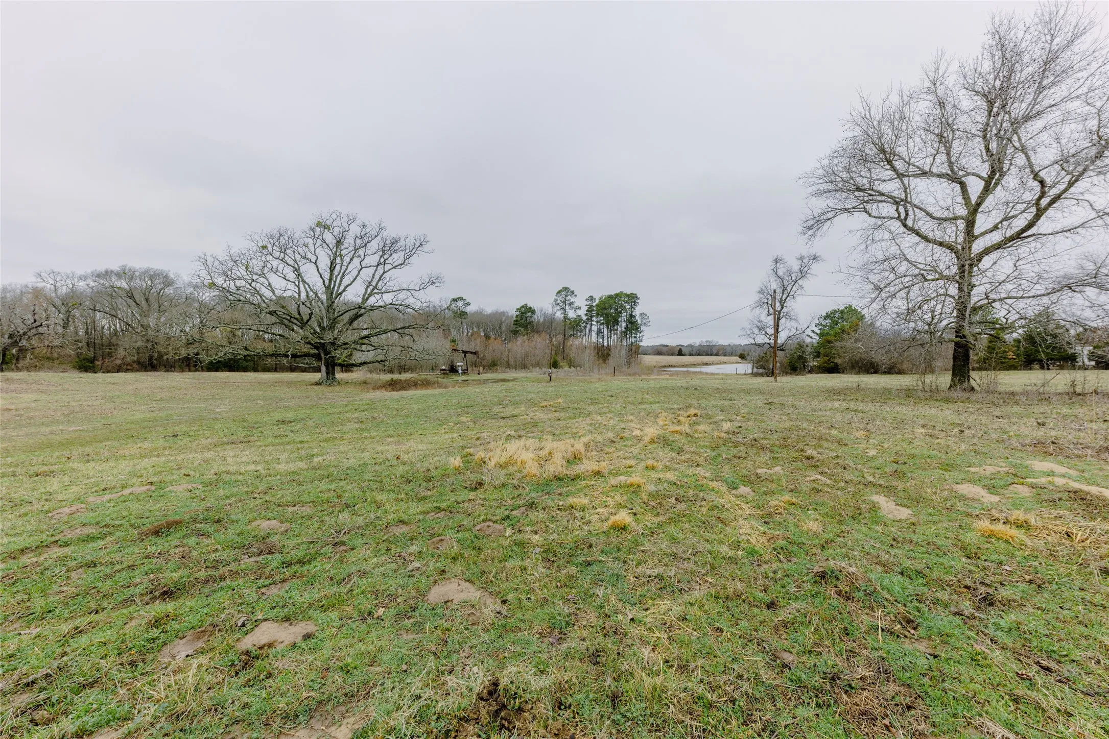 Improved Land For Sale in Wood County , tbd County Road 4930, Quitman, Texas 75783, 0, 0, Garage spaces, 0 Sqft, built in 0, Price $179,000, mls#21366383, Real Estate Agent in Quitman, Homes For Sale in Wood county, Homes For Sale in Quitman, Realtor in Quitman Texas, Real Estate Brokerage Independent Realty Texas, Luminita Cordes Realtor