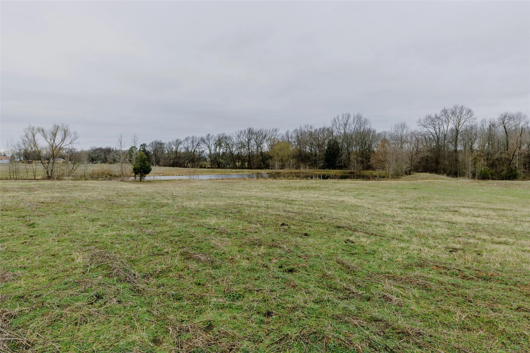 Improved Land For Sale in Wood County , tbd County Road 4930, Quitman, Texas 75783, 0, 0, Garage spaces, 0 Sqft, built in 0, Price $179,000, mls#21366383, Real Estate Agent in Quitman, Homes For Sale in Wood county, Homes For Sale in Quitman, Realtor in Quitman Texas, Real Estate Brokerage Independent Realty Texas, Luminita Cordes Realtor