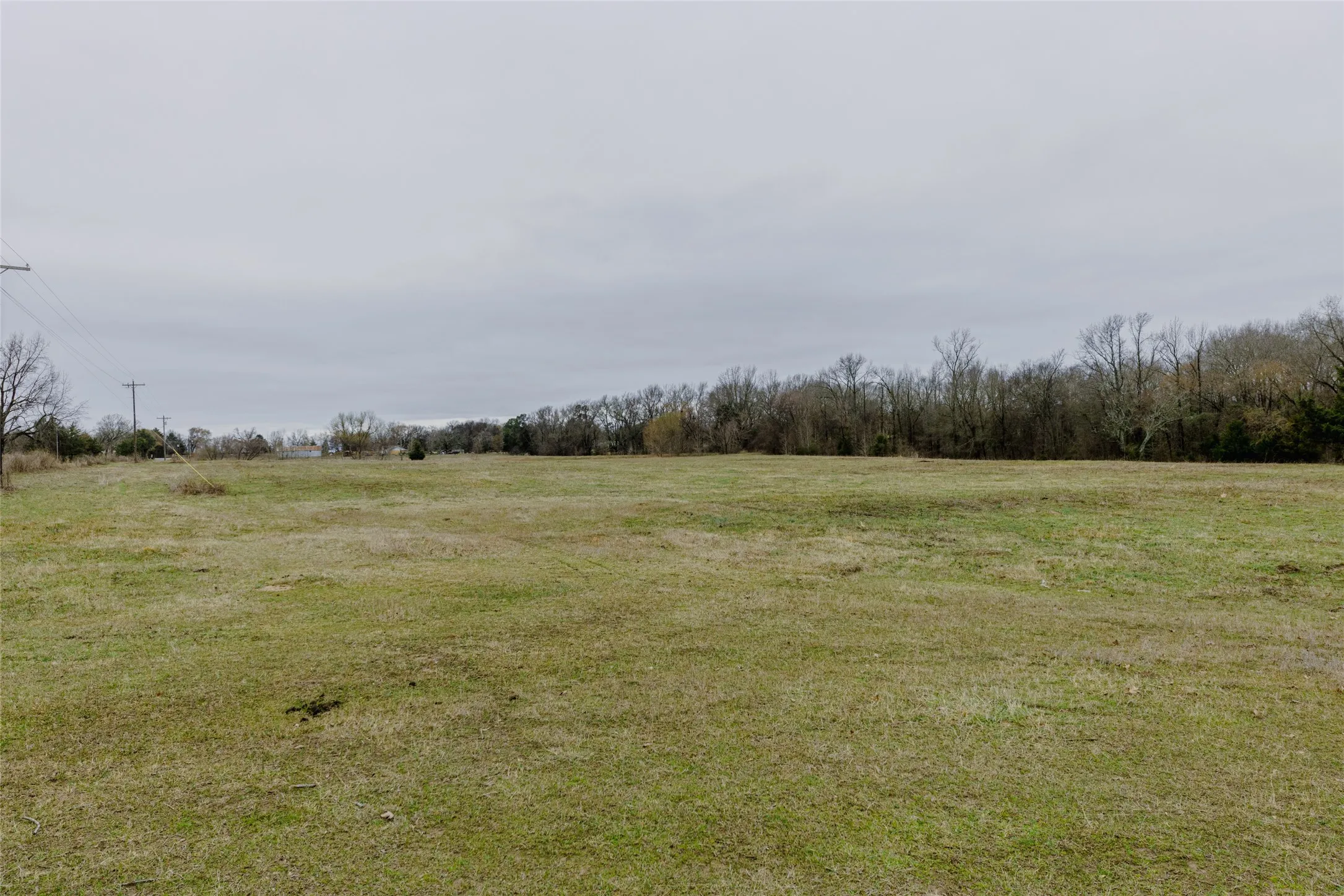 Improved Land For Sale in Wood County , tbd County Road 4930, Quitman, Texas 75783, 0, 0, Garage spaces, 0 Sqft, built in 0, Price $179,000, mls#21366383, Real Estate Agent in Quitman, Homes For Sale in Wood county, Homes For Sale in Quitman, Realtor in Quitman Texas, Real Estate Brokerage Independent Realty Texas, Luminita Cordes Realtor