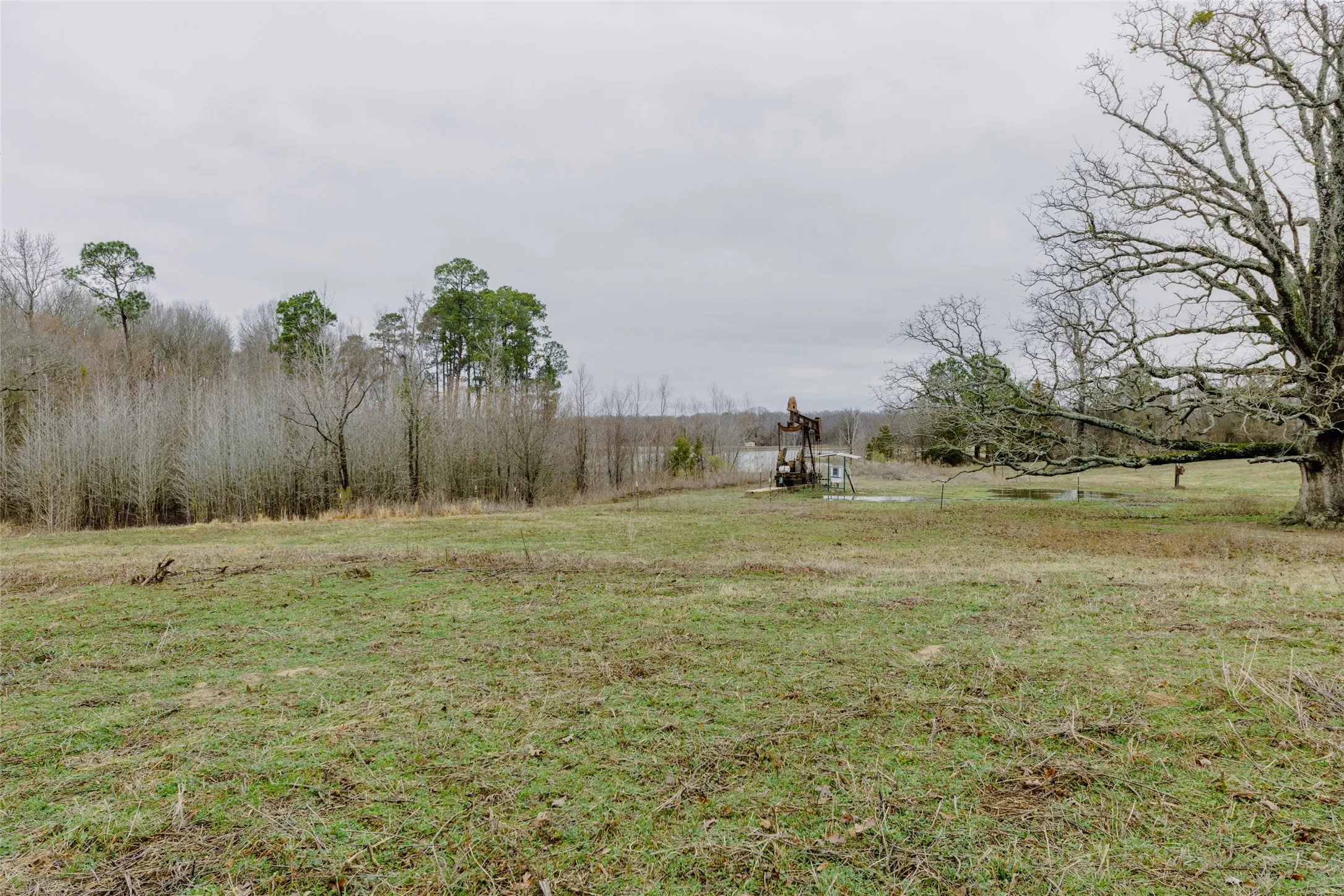 Improved Land For Sale in Wood County , tbd County Road 4930, Quitman, Texas 75783, 0, 0, Garage spaces, 0 Sqft, built in 0, Price $179,000, mls#21366383, Real Estate Agent in Quitman, Homes For Sale in Wood county, Homes For Sale in Quitman, Realtor in Quitman Texas, Real Estate Brokerage Independent Realty Texas, Luminita Cordes Realtor