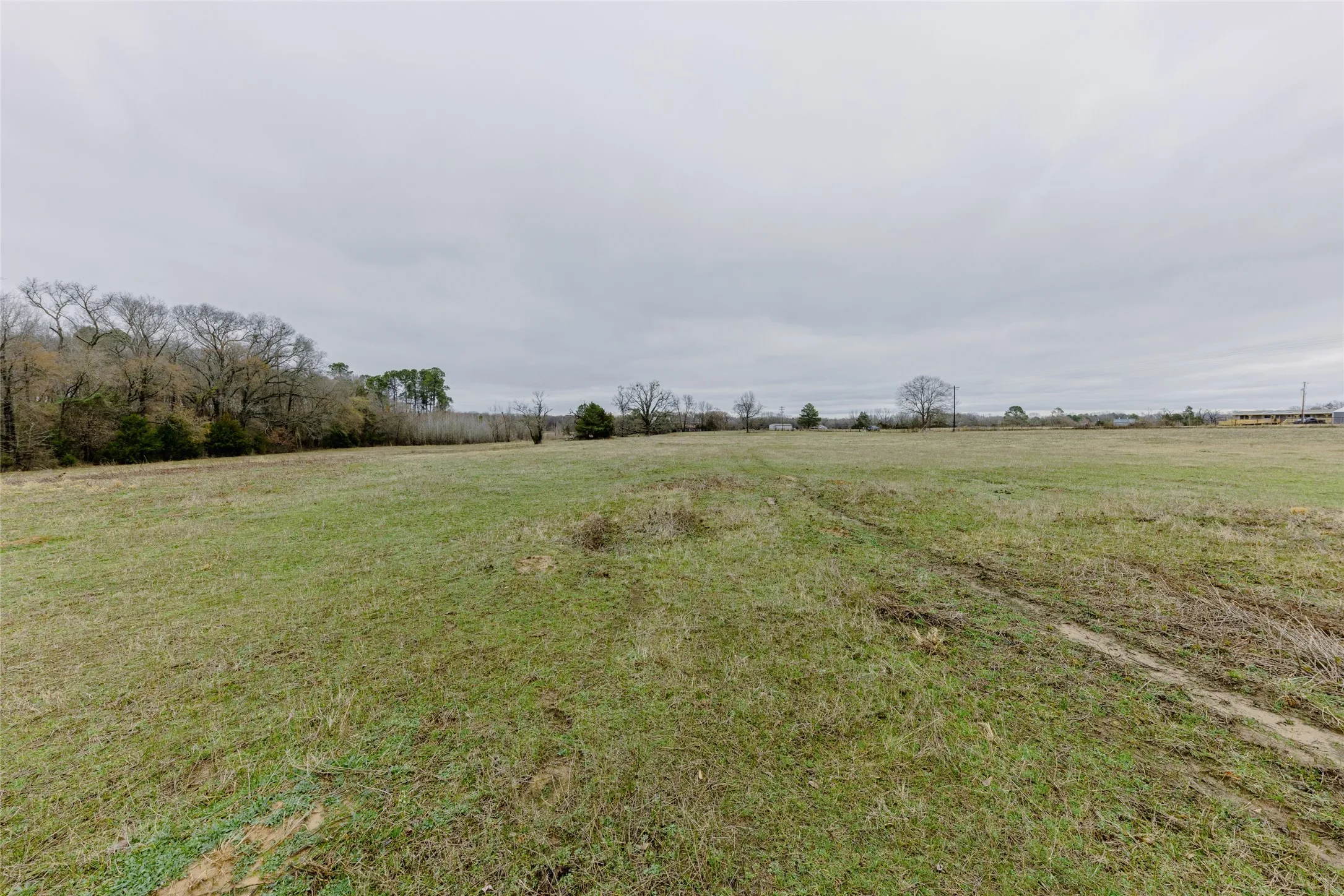Improved Land For Sale in Wood County , tbd County Road 4930, Quitman, Texas 75783, 0, 0, Garage spaces, 0 Sqft, built in 0, Price $179,000, mls#21366383, Real Estate Agent in Quitman, Homes For Sale in Wood county, Homes For Sale in Quitman, Realtor in Quitman Texas, Real Estate Brokerage Independent Realty Texas, Luminita Cordes Realtor