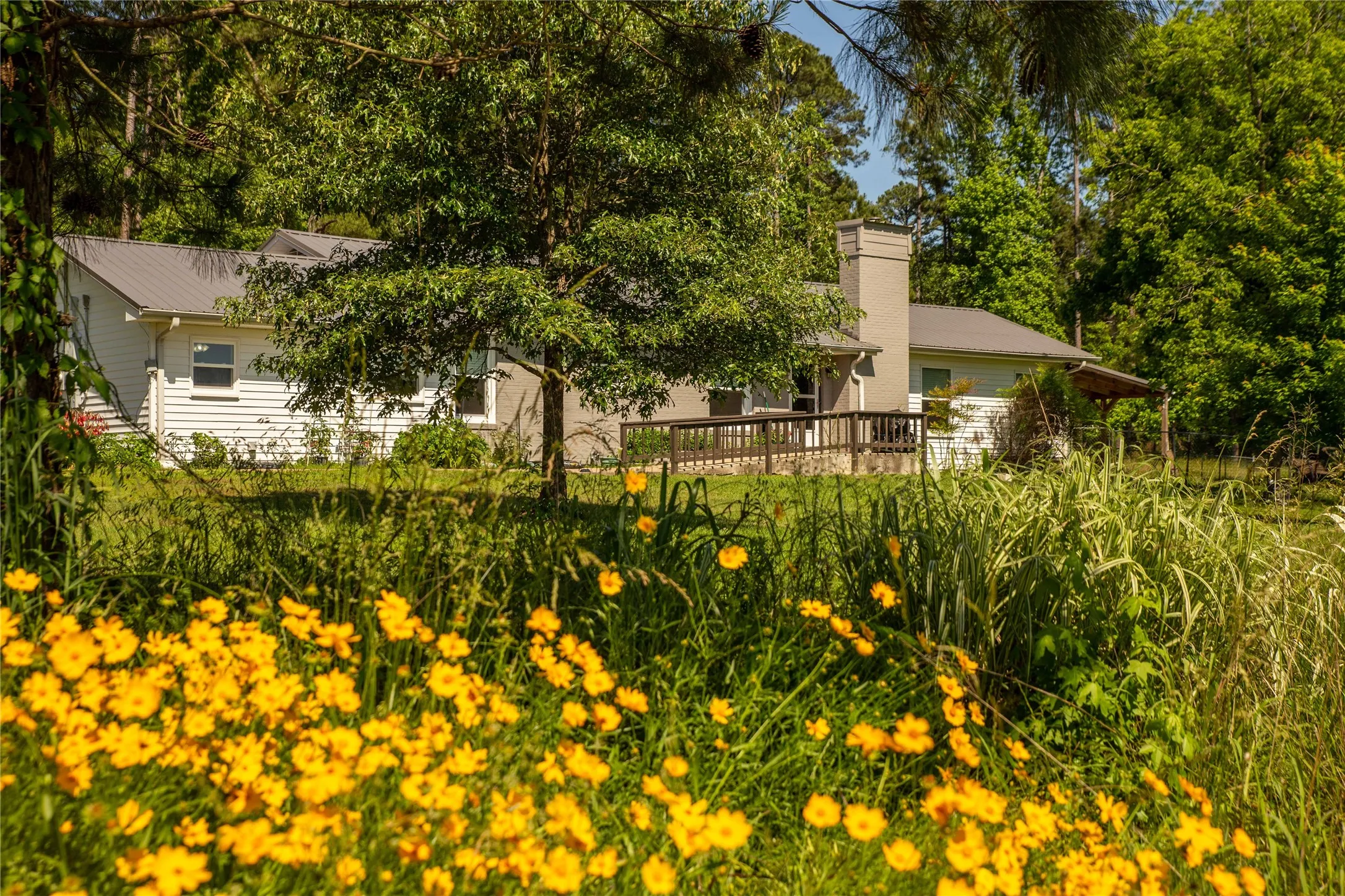 Improved Land For Sale in Cass County , 945 FM 130, Linden, Texas 75563, 0, 0, Garage spaces, 0 Sqft, built in 0, Price $3,700,000, mls#21366090, Real Estate Agent in Linden, Homes For Sale in Cass county, Homes For Sale in Linden, Realtor in Linden Texas, Real Estate Brokerage Independent Realty Texas, Luminita Cordes Realtor