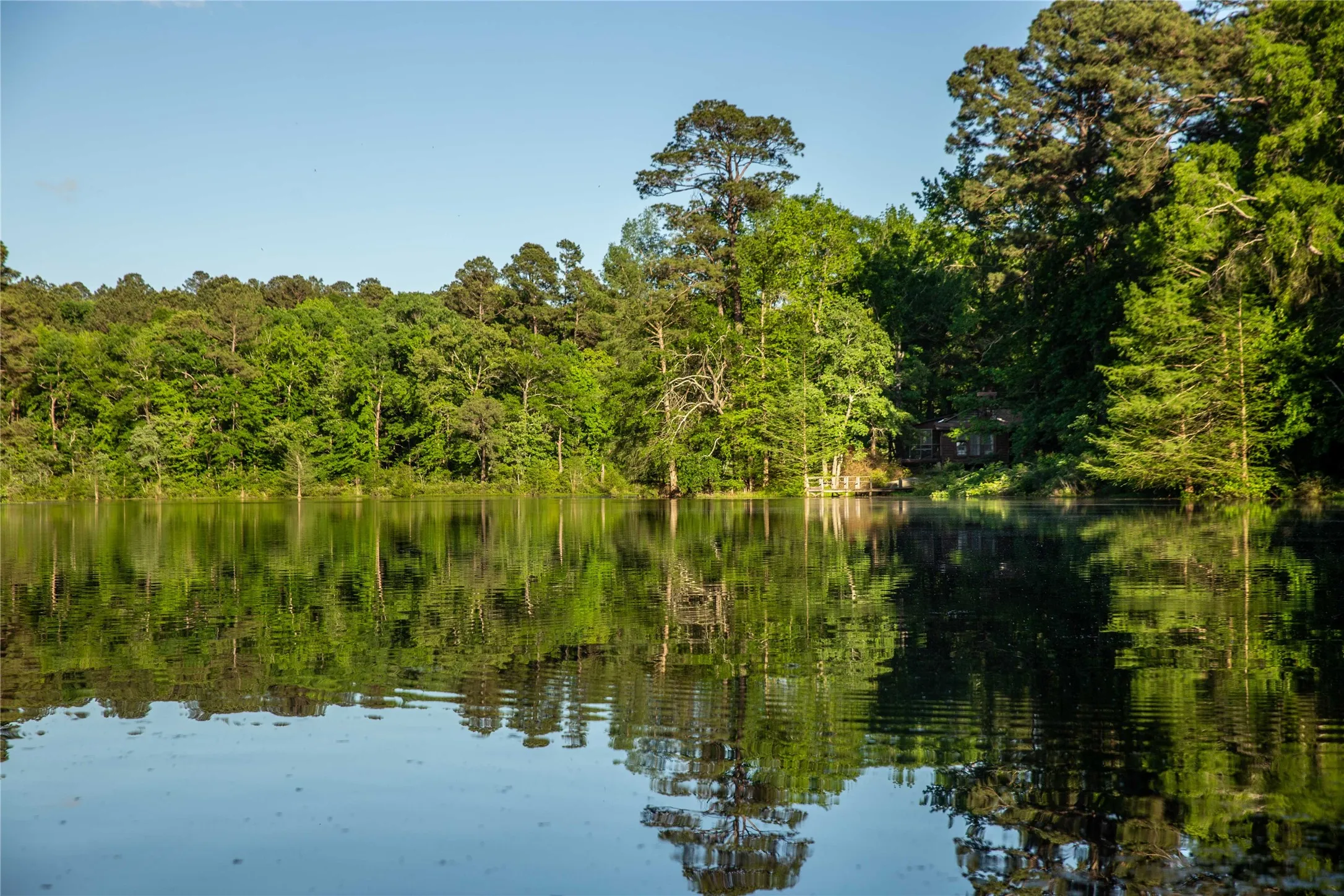 Improved Land For Sale in Cass County , 945 FM 130, Linden, Texas 75563, 0, 0, Garage spaces, 0 Sqft, built in 0, Price $3,700,000, mls#21366090, Real Estate Agent in Linden, Homes For Sale in Cass county, Homes For Sale in Linden, Realtor in Linden Texas, Real Estate Brokerage Independent Realty Texas, Luminita Cordes Realtor