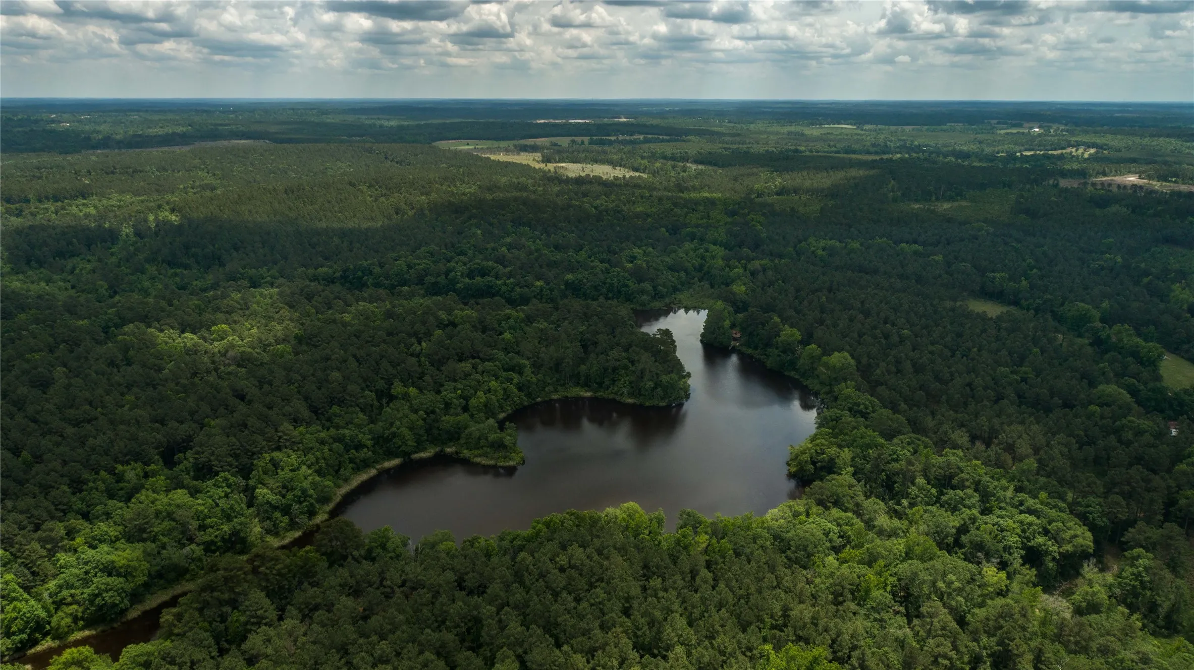 Improved Land For Sale in Cass County , 945 FM 130, Linden, Texas 75563, 0, 0, Garage spaces, 0 Sqft, built in 0, Price $3,700,000, mls#21366090, Real Estate Agent in Linden, Homes For Sale in Cass county, Homes For Sale in Linden, Realtor in Linden Texas, Real Estate Brokerage Independent Realty Texas, Luminita Cordes Realtor