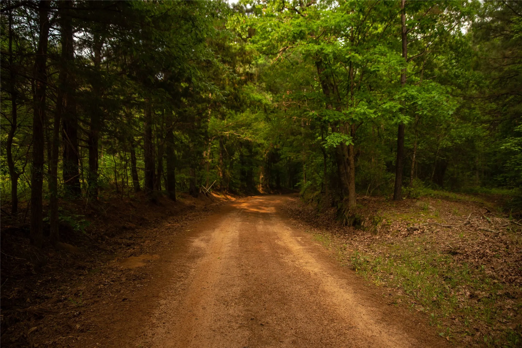 Improved Land For Sale in Cass County , 945 FM 130, Linden, Texas 75563, 0, 0, Garage spaces, 0 Sqft, built in 0, Price $3,700,000, mls#21366090, Real Estate Agent in Linden, Homes For Sale in Cass county, Homes For Sale in Linden, Realtor in Linden Texas, Real Estate Brokerage Independent Realty Texas, Luminita Cordes Realtor