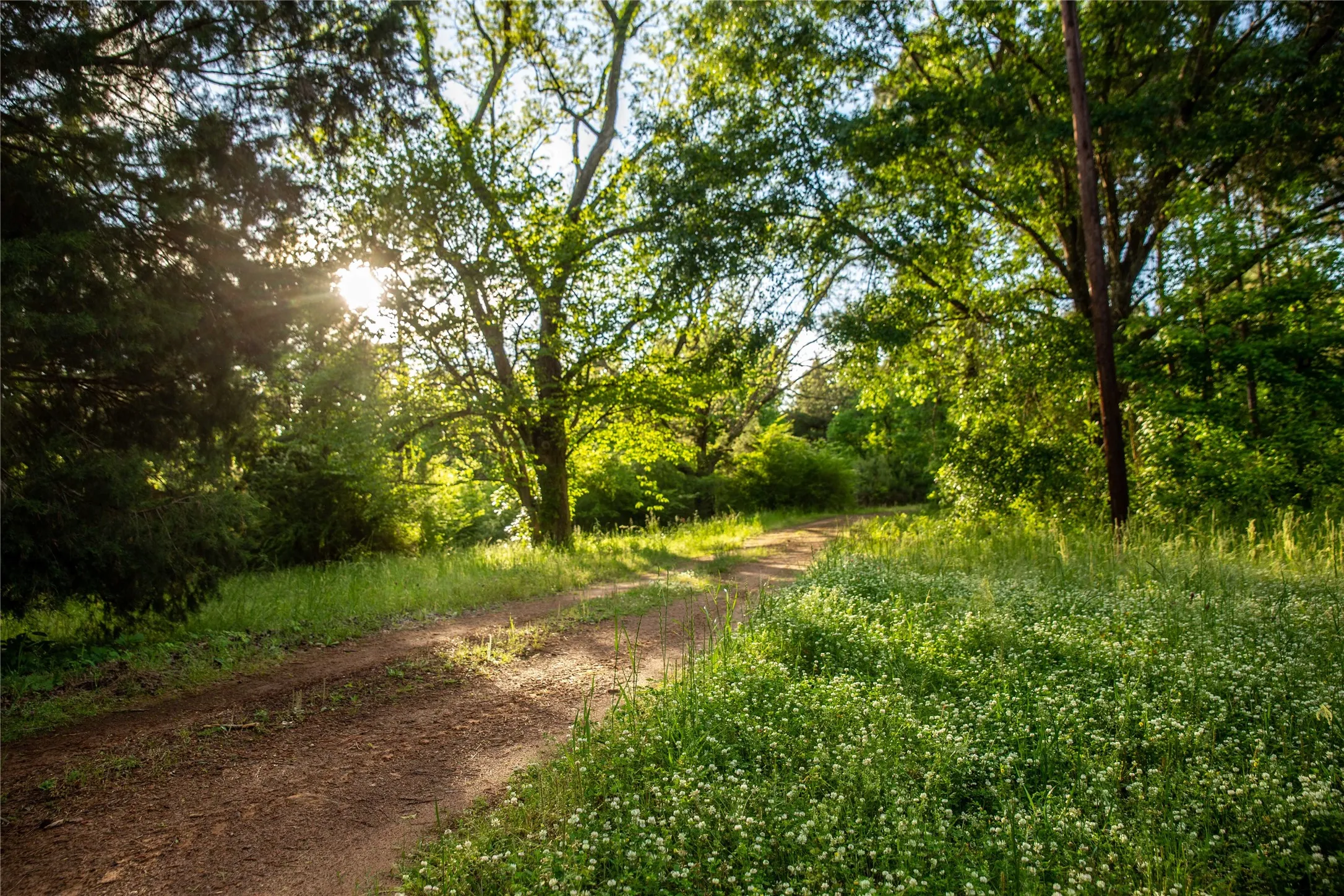 Improved Land For Sale in Cass County , 945 FM 130, Linden, Texas 75563, 0, 0, Garage spaces, 0 Sqft, built in 0, Price $3,700,000, mls#21366090, Real Estate Agent in Linden, Homes For Sale in Cass county, Homes For Sale in Linden, Realtor in Linden Texas, Real Estate Brokerage Independent Realty Texas, Luminita Cordes Realtor