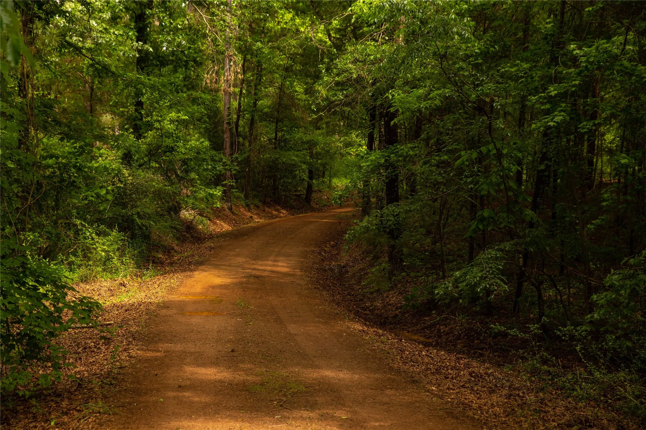 Improved Land For Sale in Cass County , 945 FM 130, Linden, Texas 75563, 0, 0, Garage spaces, 0 Sqft, built in 0, Price $3,700,000, mls#21366090, Real Estate Agent in Linden, Homes For Sale in Cass county, Homes For Sale in Linden, Realtor in Linden Texas, Real Estate Brokerage Independent Realty Texas, Luminita Cordes Realtor
