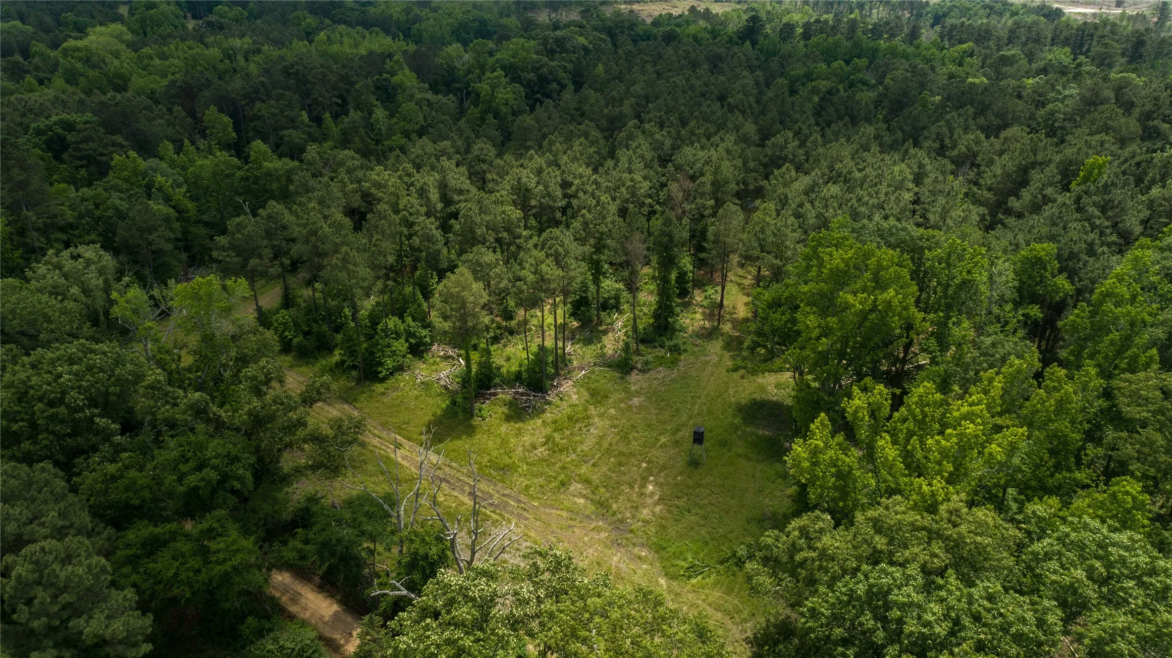 Improved Land For Sale in Cass County , 945 FM 130, Linden, Texas 75563, 0, 0, Garage spaces, 0 Sqft, built in 0, Price $3,700,000, mls#21366090, Real Estate Agent in Linden, Homes For Sale in Cass county, Homes For Sale in Linden, Realtor in Linden Texas, Real Estate Brokerage Independent Realty Texas, Luminita Cordes Realtor