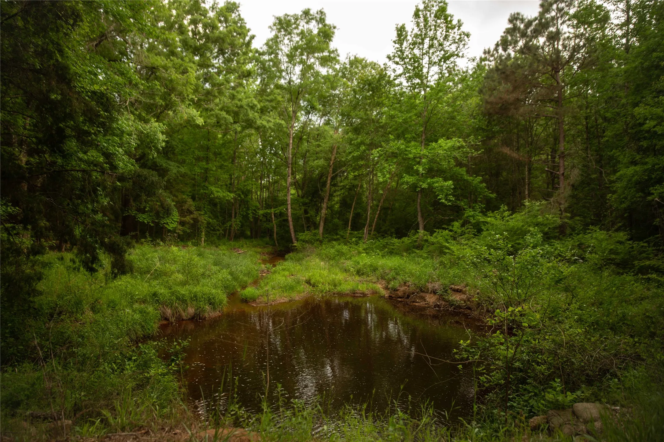 Improved Land For Sale in Cass County , 945 FM 130, Linden, Texas 75563, 0, 0, Garage spaces, 0 Sqft, built in 0, Price $3,700,000, mls#21366090, Real Estate Agent in Linden, Homes For Sale in Cass county, Homes For Sale in Linden, Realtor in Linden Texas, Real Estate Brokerage Independent Realty Texas, Luminita Cordes Realtor