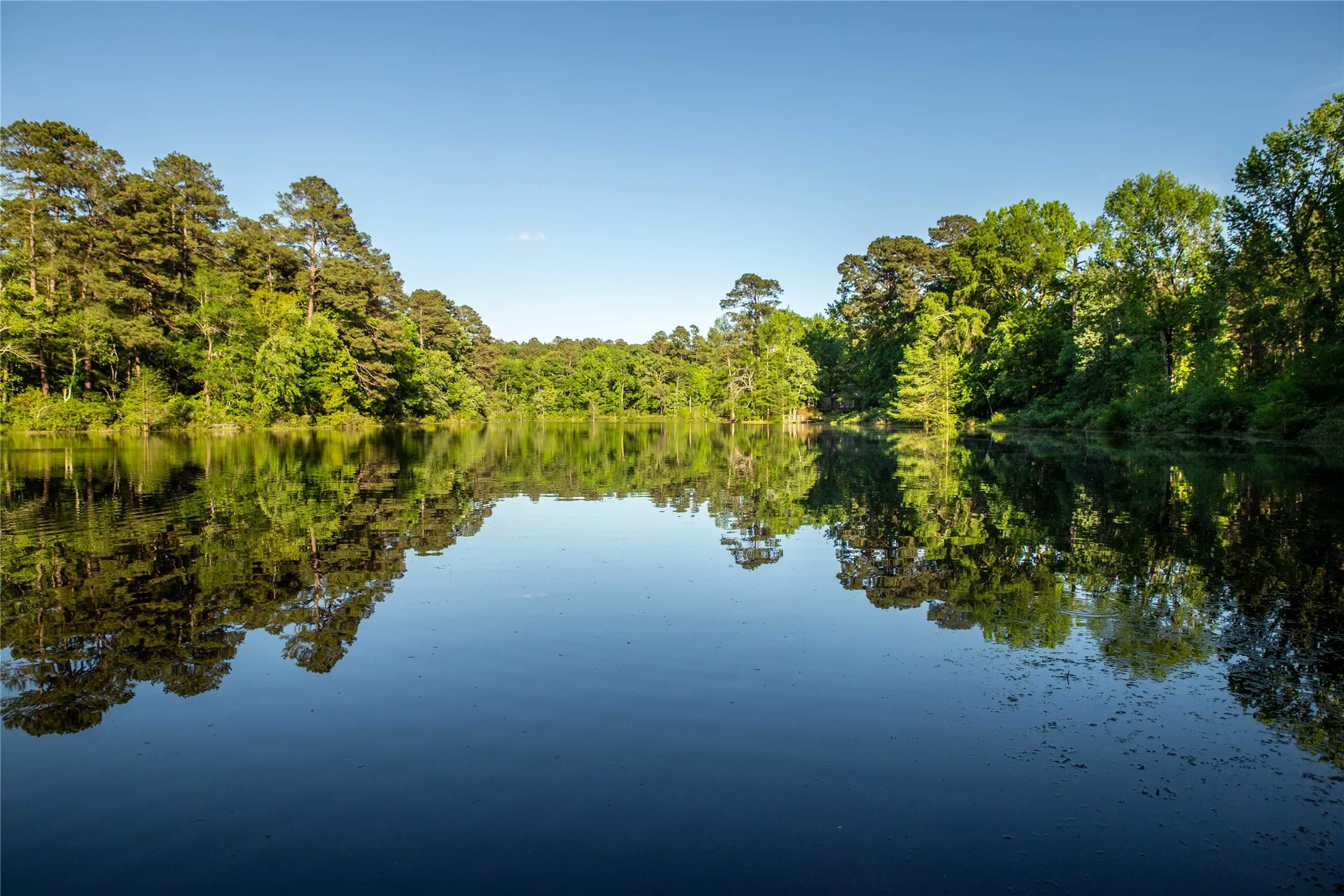 Improved Land For Sale in Cass County , 945 FM 130, Linden, Texas 75563, 0, 0, Garage spaces, 0 Sqft, built in 0, Price $3,700,000, mls#21366090, Real Estate Agent in Linden, Homes For Sale in Cass county, Homes For Sale in Linden, Realtor in Linden Texas, Real Estate Brokerage Independent Realty Texas, Luminita Cordes Realtor