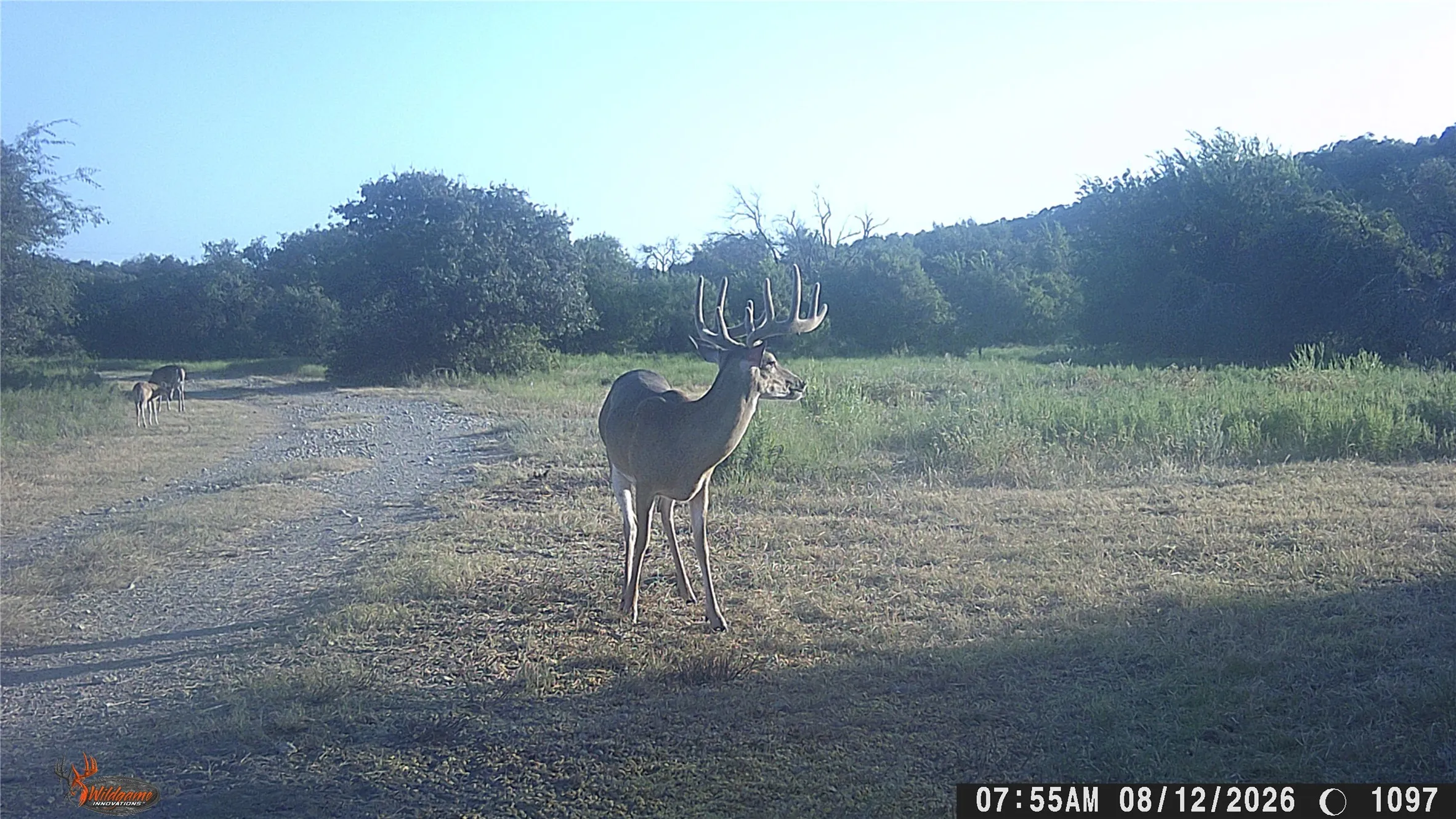 Farm For Sale in Brown County , 15779 County Road 478, May, Texas 76857, 5 Bedroom, 5 Bathroom, 5 Garage spaces, 6,309 Sqft, built in 2010, mls#21366480, Real Estate Agent in May, Homes For Sale in Brown county, Homes For Sale in May, Realtor in May Texas, Real Estate Brokerage Independent Realty Texas, Luminita Cordes Realtor