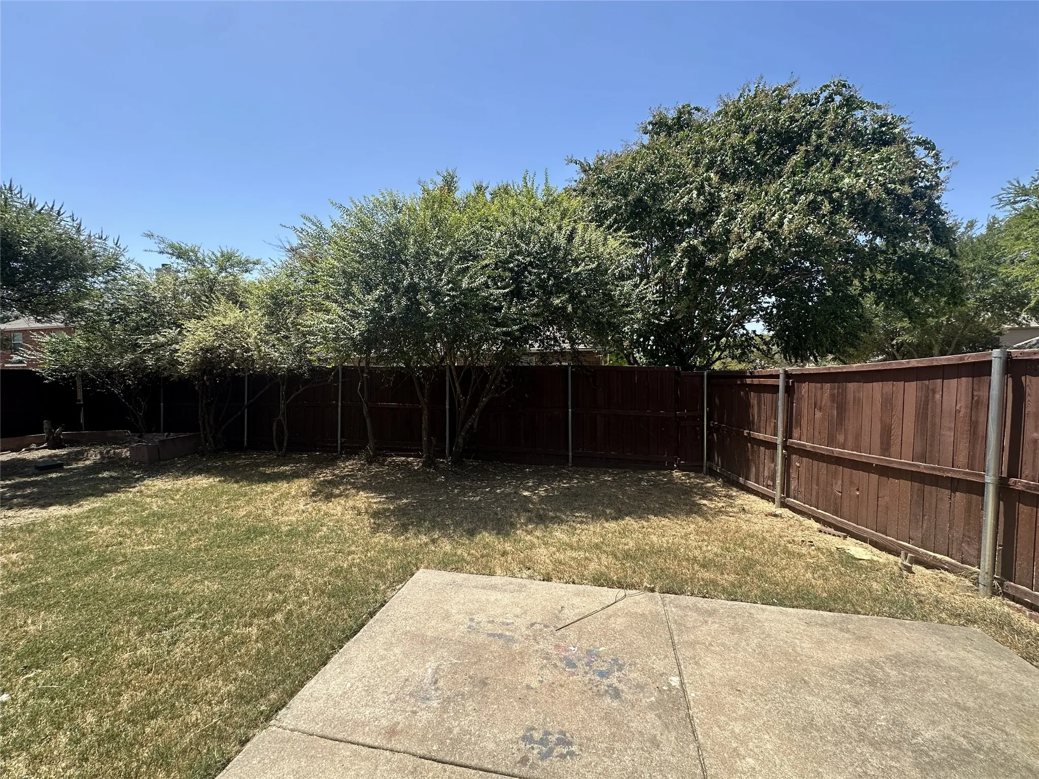 Expansive backyard featuring a partial concrete patio, mature perimeter trees, and wood fencing