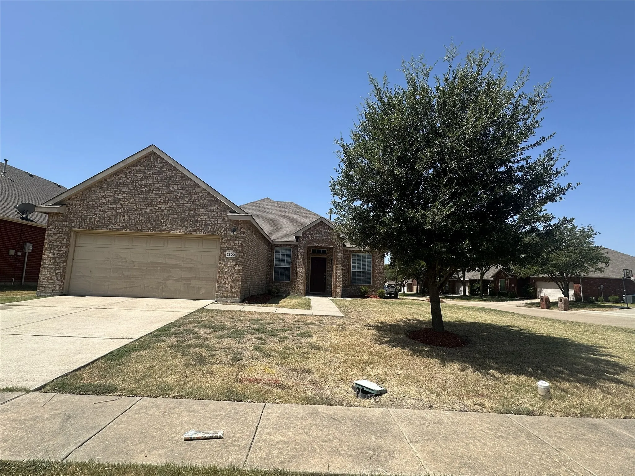 Brick exterior with an attached garage, concrete driveway, and mature tree