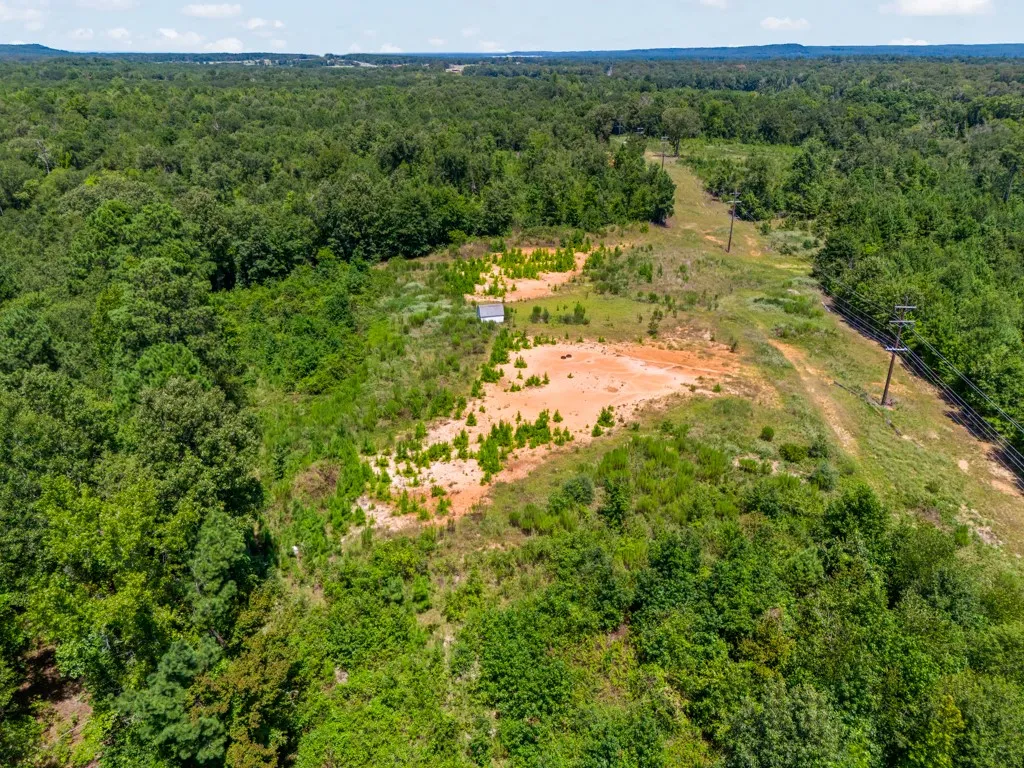 Expansive wooded acreage with a cleared section, partially visible utility poles, and dense natural foliage