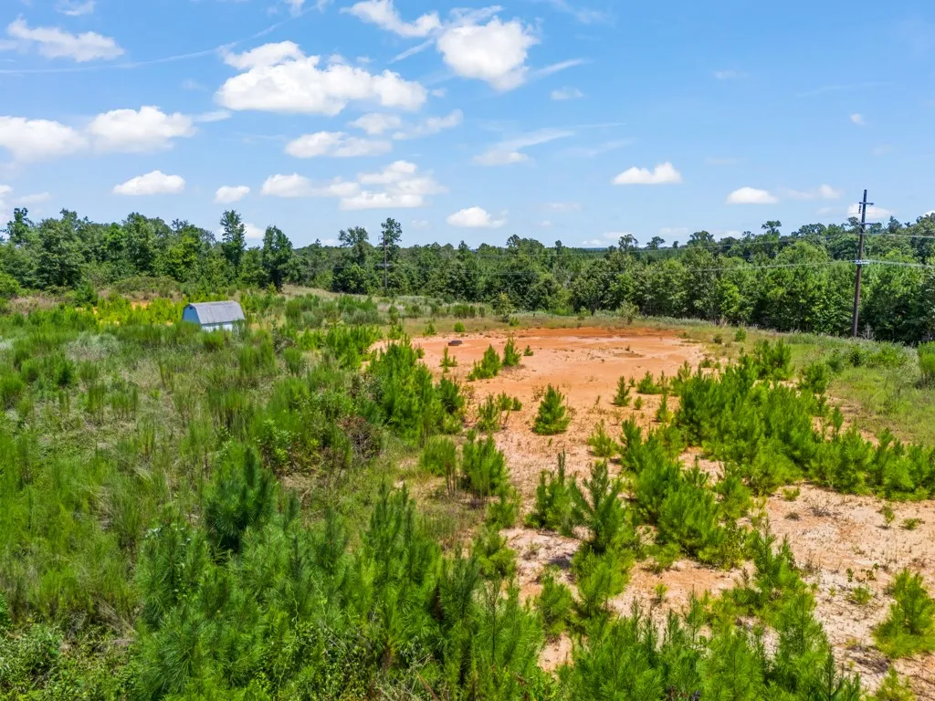 Unimproved Land For Sale in Upshur County , TBD US Hwy 259 N, Ore City, Texas 75683, 0, 0, Garage spaces, 0 Sqft, built in 0, Price $175,700, mls#21366496, Real Estate Agent in Ore City, Homes For Sale in Upshur county, Homes For Sale in Ore City, Realtor in Ore City Texas, Real Estate Brokerage Independent Realty Texas, Luminita Cordes Realtor