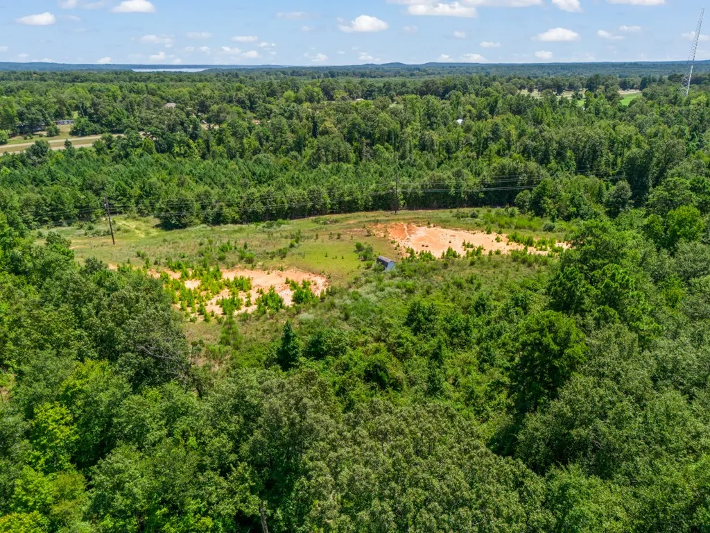 Expansive wooded acreage featuring diverse tree coverage and open clearings
