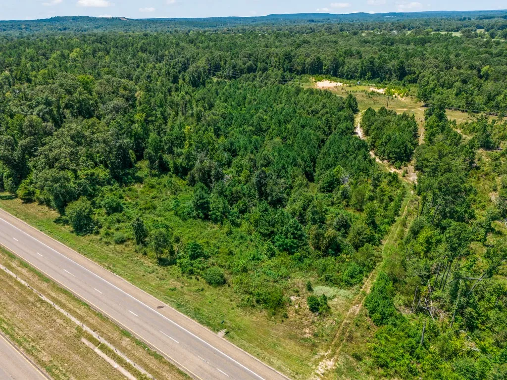 Unimproved Land For Sale in Upshur County , TBD US Hwy 259 N, Ore City, Texas 75683, 0, 0, Garage spaces, 0 Sqft, built in 0, Price $175,700, mls#21366496, Real Estate Agent in Ore City, Homes For Sale in Upshur county, Homes For Sale in Ore City, Realtor in Ore City Texas, Real Estate Brokerage Independent Realty Texas, Luminita Cordes Realtor