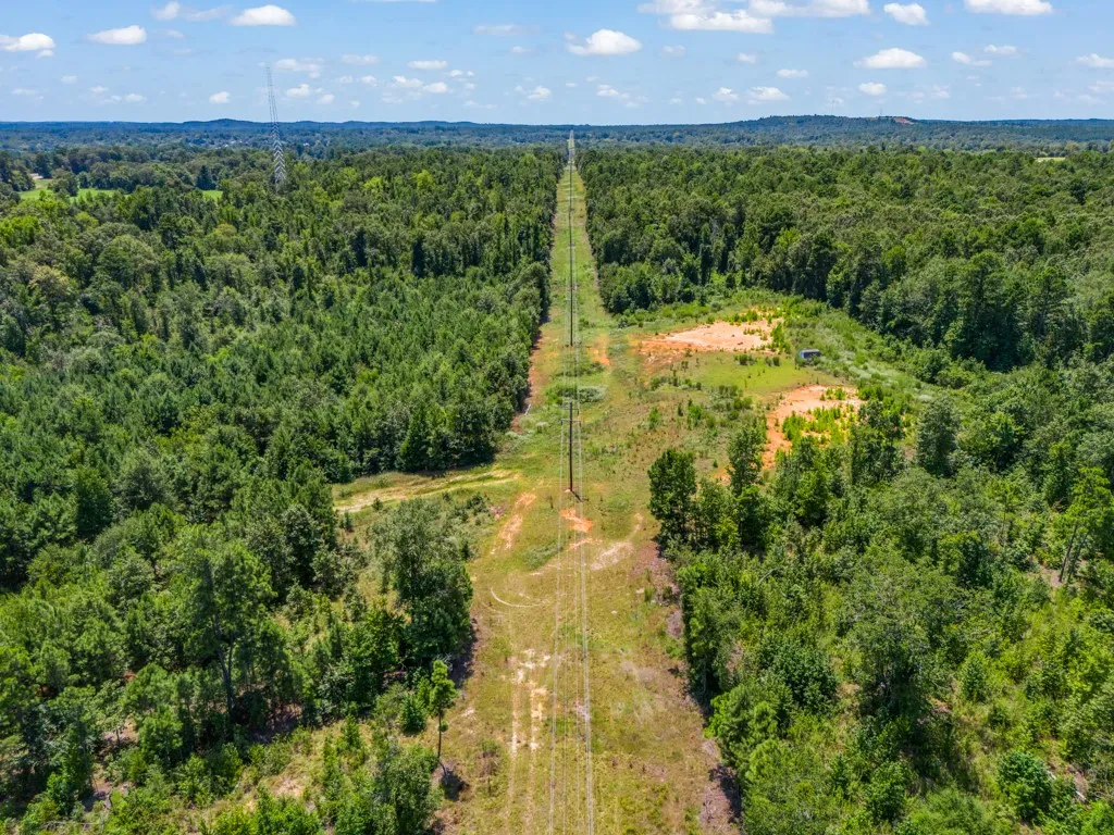 Expansive wooded acreage with a cleared utility corridor