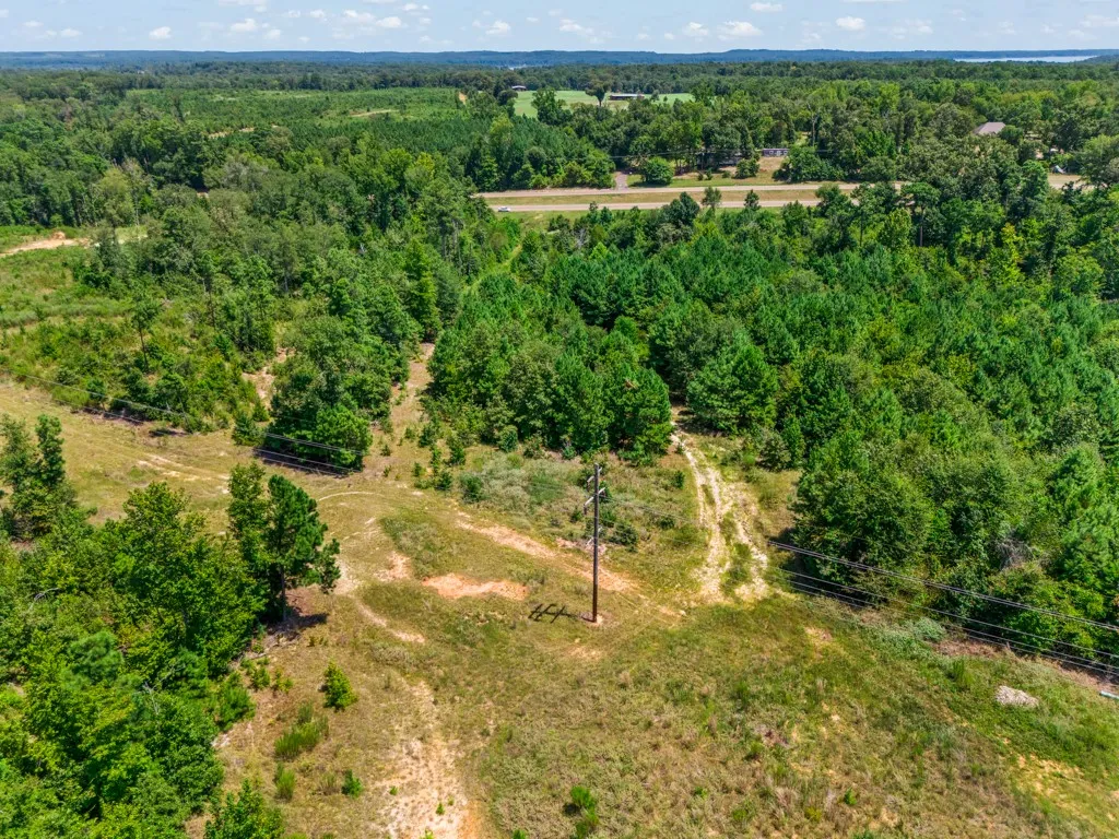 Expansive wooded landscape with a clear sky backdrop