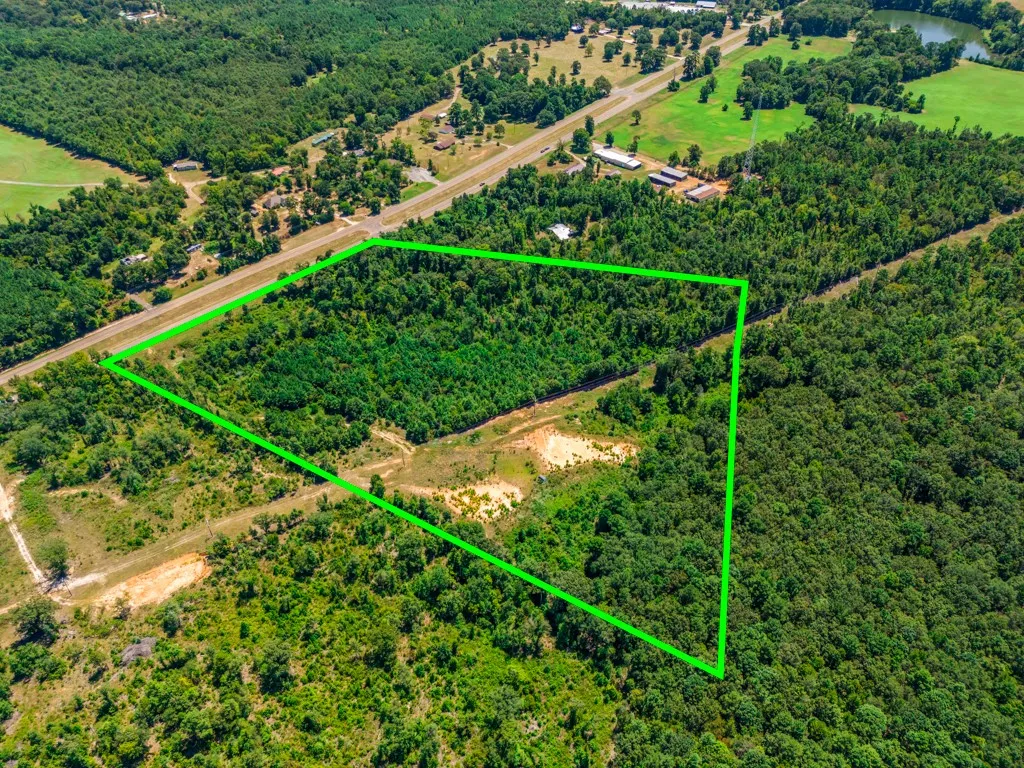 Expansive parcel featuring dense tree coverage and partially cleared land