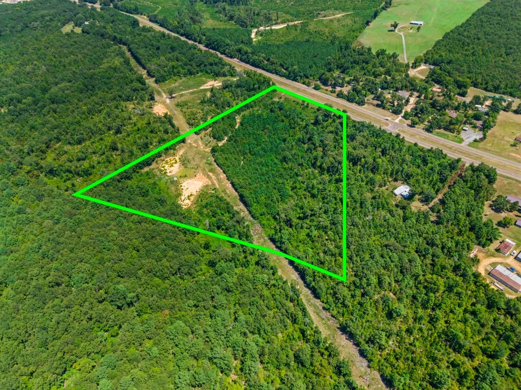 Expansive wooded acreage featuring diverse tree coverage