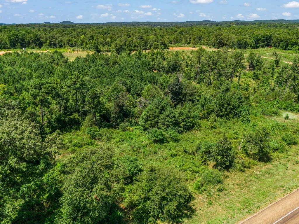 Expansive natural landscape featuring lush green foliage and mature trees