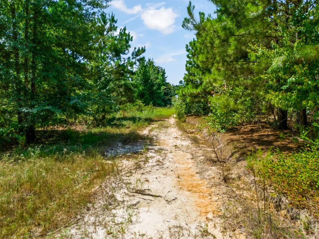 Unimproved Land For Sale in Upshur County , TBD US Hwy 259 N, Ore City, Texas 75683, 0, 0, Garage spaces, 0 Sqft, built in 0, Price $175,700, mls#21366496, Real Estate Agent in Ore City, Homes For Sale in Upshur county, Homes For Sale in Ore City, Realtor in Ore City Texas, Real Estate Brokerage Independent Realty Texas, Luminita Cordes Realtor