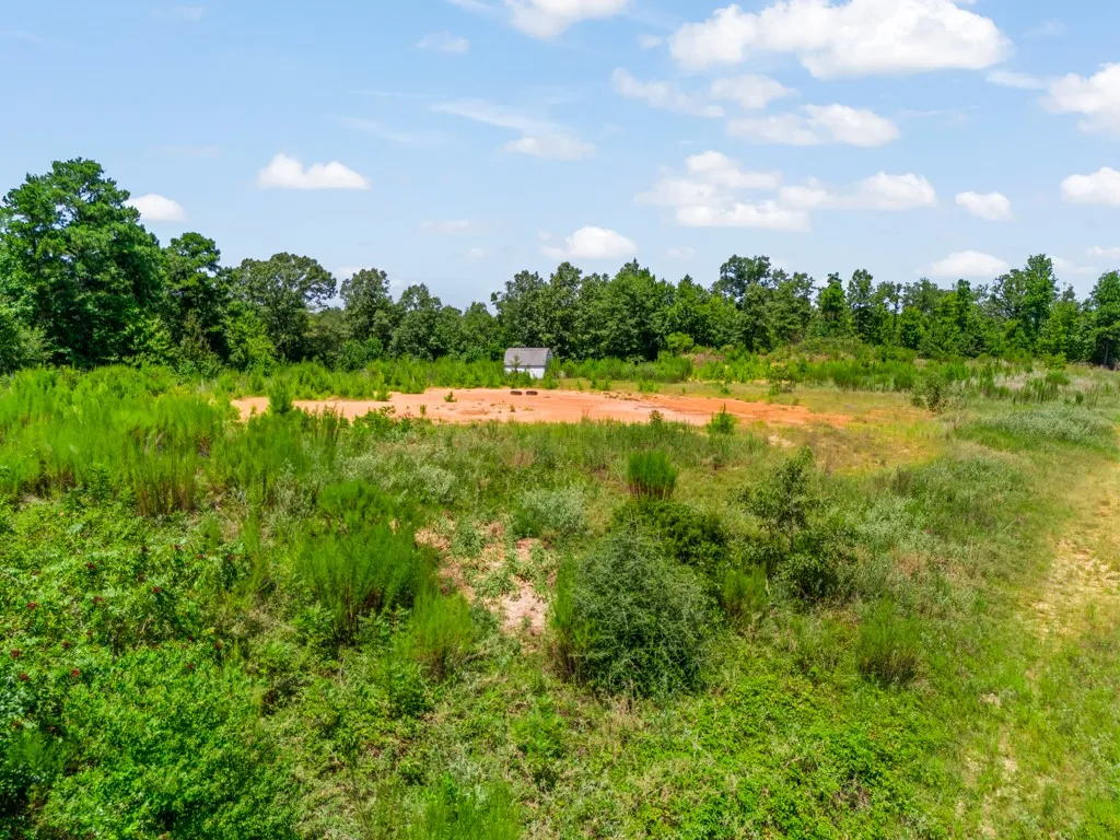 Expansive land parcel featuring natural greenery and a distant outbuilding