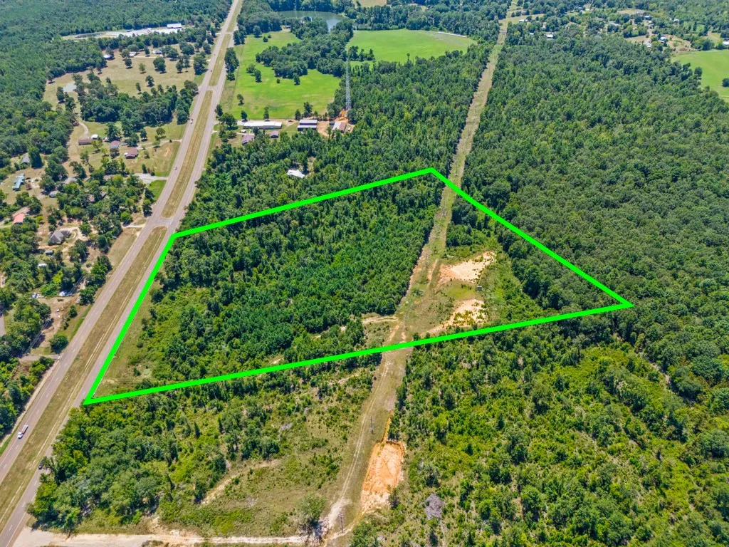 Expansive wooded parcel featuring a combination of dense forestry and clearings, with direct road frontage