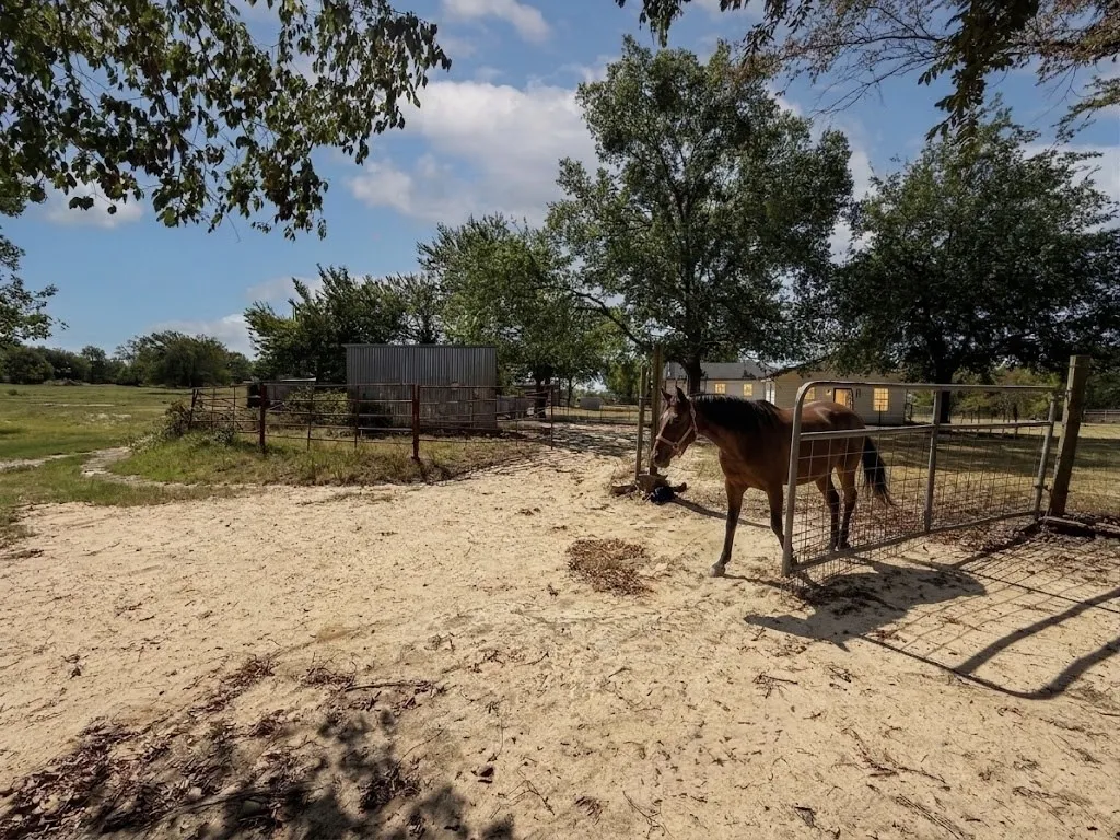 Farm For Sale in Van Zandt County , 32951 Fm 47, Mabank, Texas 75147, 4 Bedroom, 2 Bathroom, Garage spaces, 1,700 Sqft, built in 1975, mls#21366468, Real Estate Agent in Mabank, Homes For Sale in Van Zandt county, Homes For Sale in Mabank, Realtor in Mabank Texas, Real Estate Brokerage Independent Realty Texas, Luminita Cordes Realtor