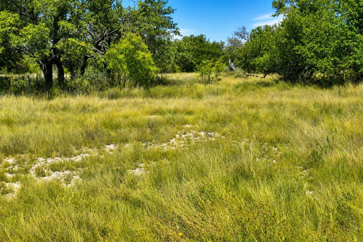 Ranch For Sale in Menard County , 129 Big Buck Run Road, No City, Texas 76841, 0, 0, Garage spaces, 0 Sqft, built in 0, mls#21366552, Real Estate Agent in No City, Homes For Sale in Menard county, Homes For Sale in No City, Realtor in No City Texas, Real Estate Brokerage Independent Realty Texas, Luminita Cordes Realtor