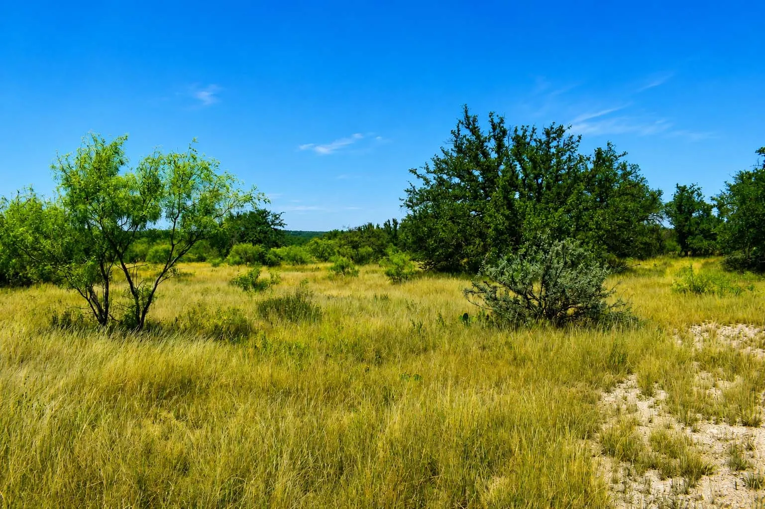 Ranch For Sale in Menard County , 129 Big Buck Run Road, No City, Texas 76841, 0, 0, Garage spaces, 0 Sqft, built in 0, mls#21366552, Real Estate Agent in No City, Homes For Sale in Menard county, Homes For Sale in No City, Realtor in No City Texas, Real Estate Brokerage Independent Realty Texas, Luminita Cordes Realtor