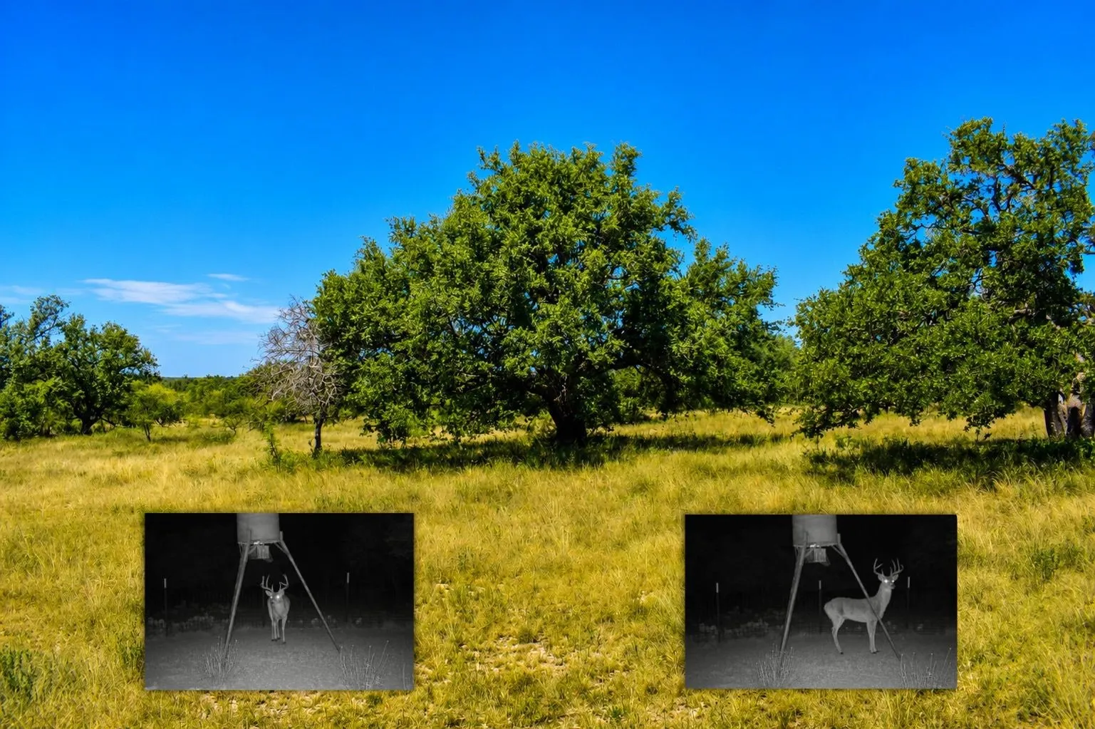 Ranch For Sale in Menard County , 129 Big Buck Run Road, No City, Texas 76841, 0, 0, Garage spaces, 0 Sqft, built in 0, mls#21366552, Real Estate Agent in No City, Homes For Sale in Menard county, Homes For Sale in No City, Realtor in No City Texas, Real Estate Brokerage Independent Realty Texas, Luminita Cordes Realtor