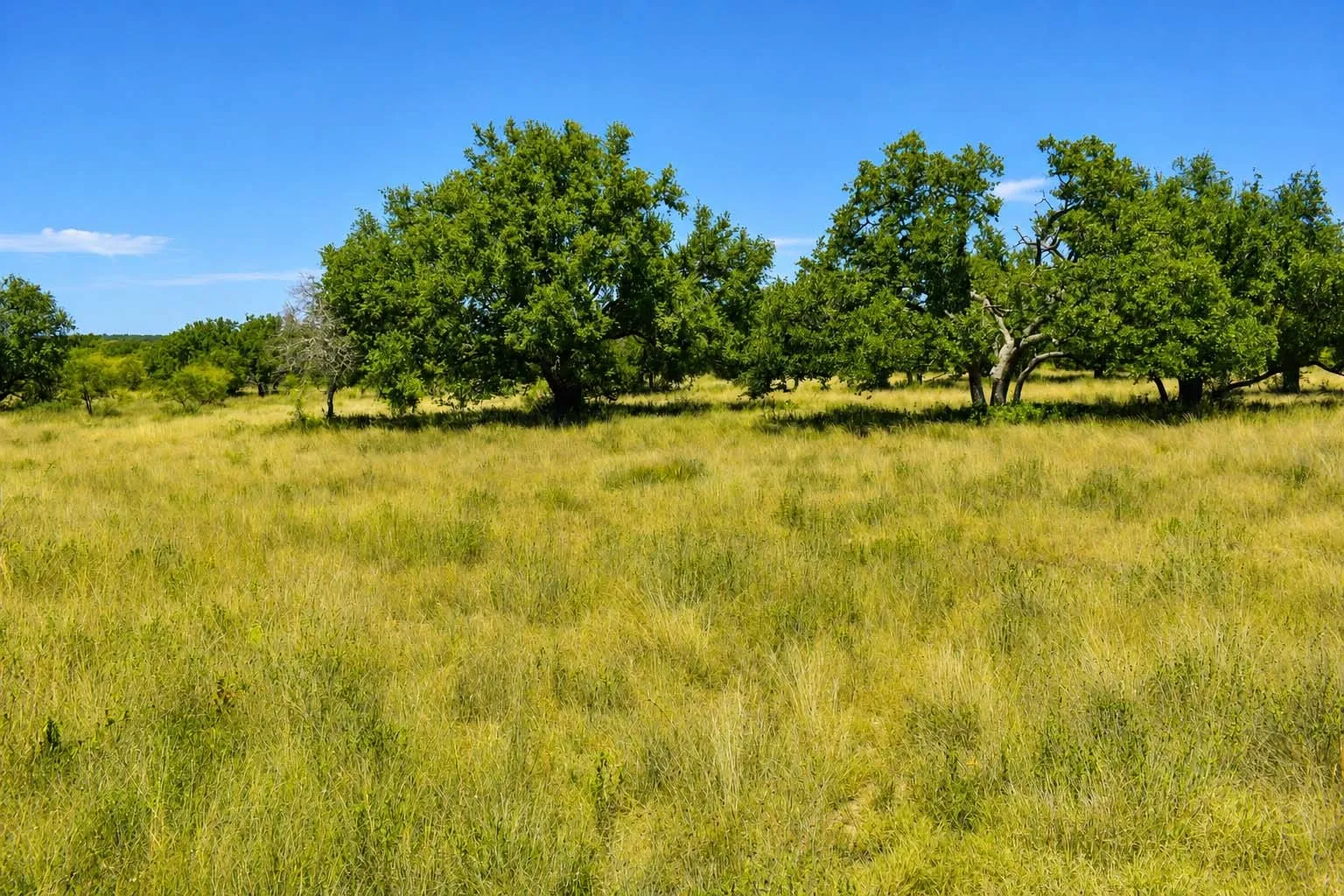 Ranch For Sale in Menard County , 129 Big Buck Run Road, No City, Texas 76841, 0, 0, Garage spaces, 0 Sqft, built in 0, mls#21366552, Real Estate Agent in No City, Homes For Sale in Menard county, Homes For Sale in No City, Realtor in No City Texas, Real Estate Brokerage Independent Realty Texas, Luminita Cordes Realtor