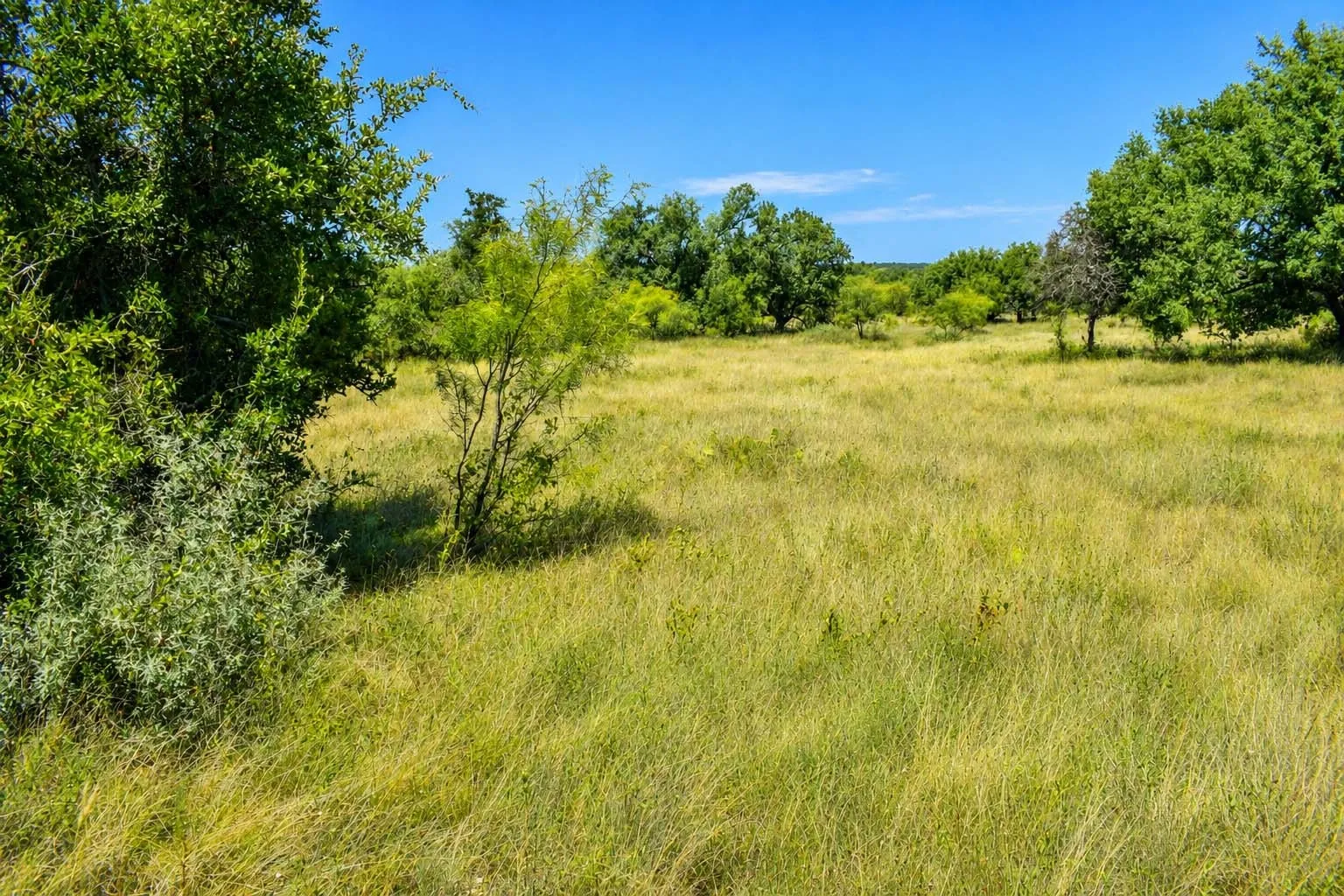 Ranch For Sale in Menard County , 129 Big Buck Run Road, No City, Texas 76841, 0, 0, Garage spaces, 0 Sqft, built in 0, mls#21366552, Real Estate Agent in No City, Homes For Sale in Menard county, Homes For Sale in No City, Realtor in No City Texas, Real Estate Brokerage Independent Realty Texas, Luminita Cordes Realtor
