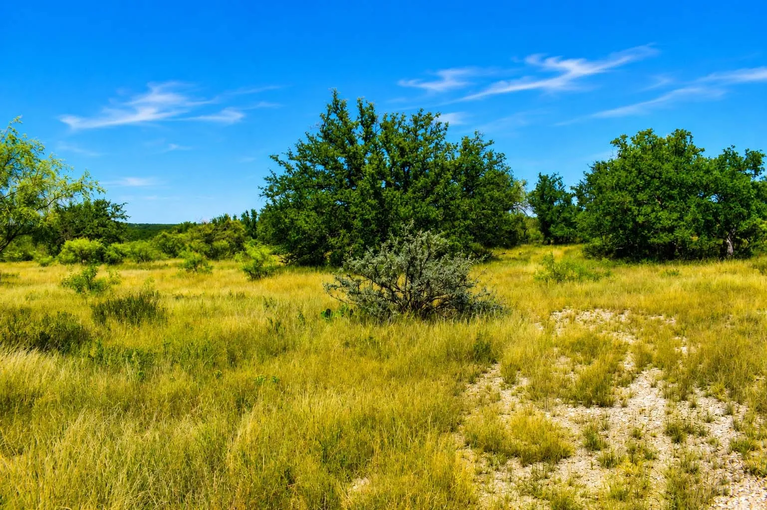 Ranch For Sale in Menard County , 129 Big Buck Run Road, No City, Texas 76841, 0, 0, Garage spaces, 0 Sqft, built in 0, mls#21366552, Real Estate Agent in No City, Homes For Sale in Menard county, Homes For Sale in No City, Realtor in No City Texas, Real Estate Brokerage Independent Realty Texas, Luminita Cordes Realtor