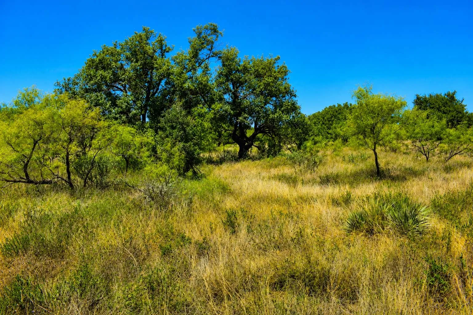 Ranch For Sale in Menard County , 129 Big Buck Run Road, No City, Texas 76841, 0, 0, Garage spaces, 0 Sqft, built in 0, mls#21366552, Real Estate Agent in No City, Homes For Sale in Menard county, Homes For Sale in No City, Realtor in No City Texas, Real Estate Brokerage Independent Realty Texas, Luminita Cordes Realtor